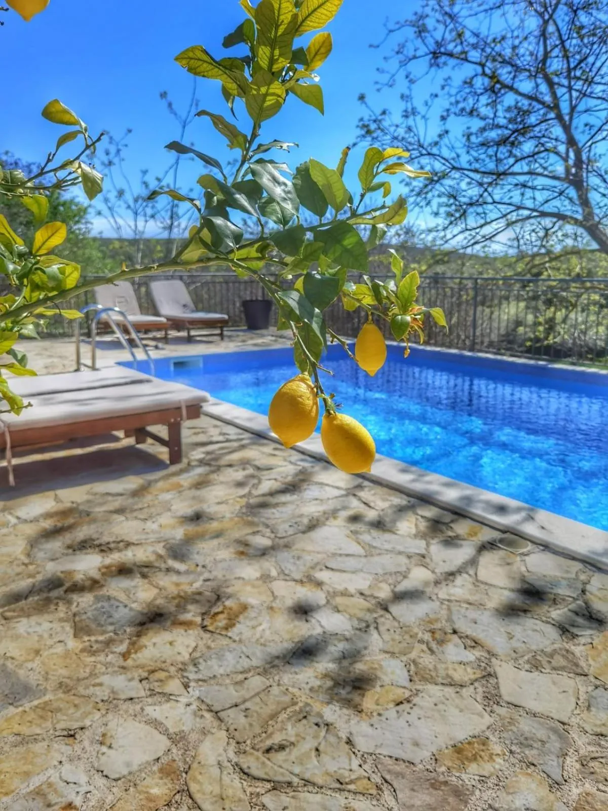 Swimming pool in Villa Mare