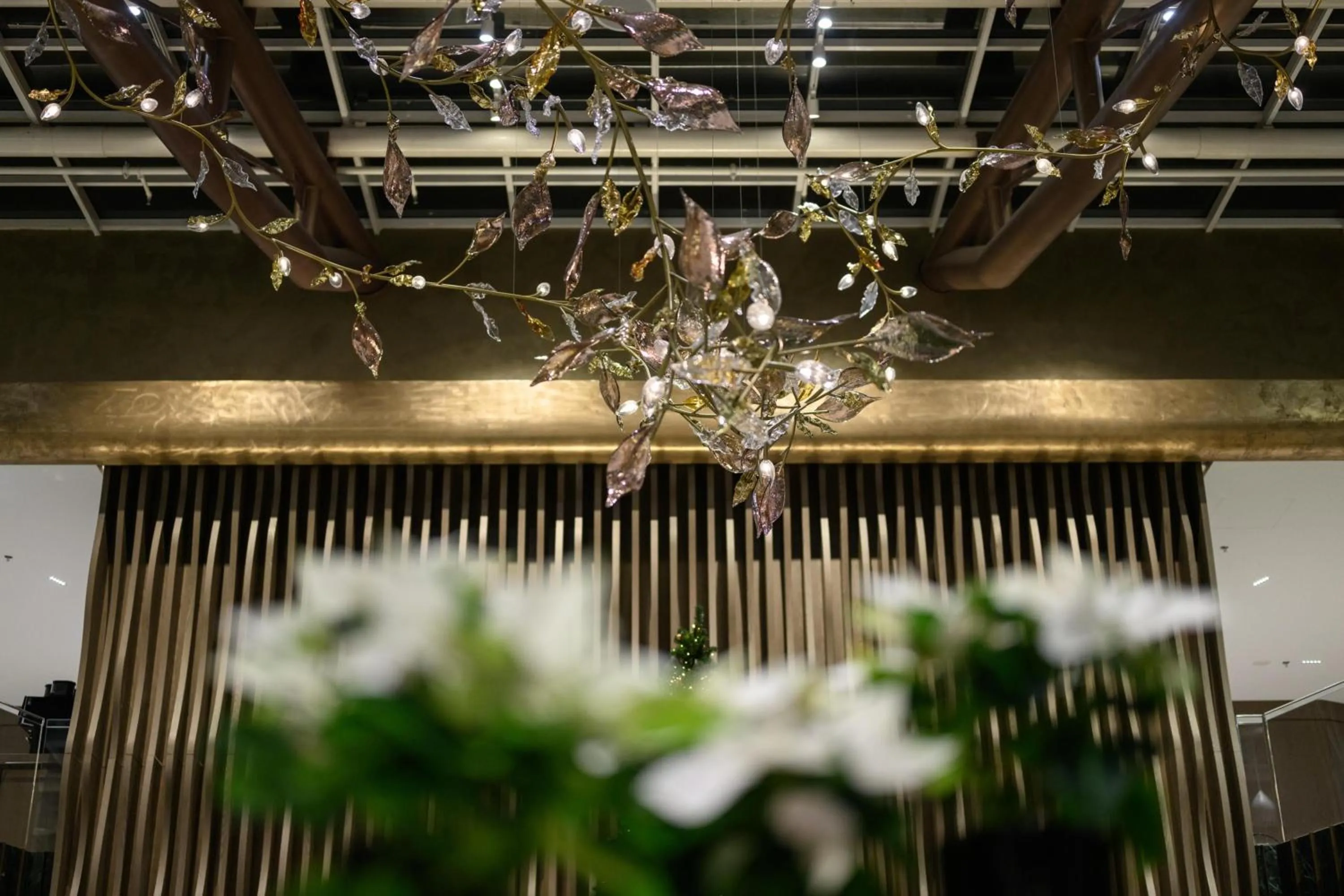 Photo of the whole room in Hilton Sofia