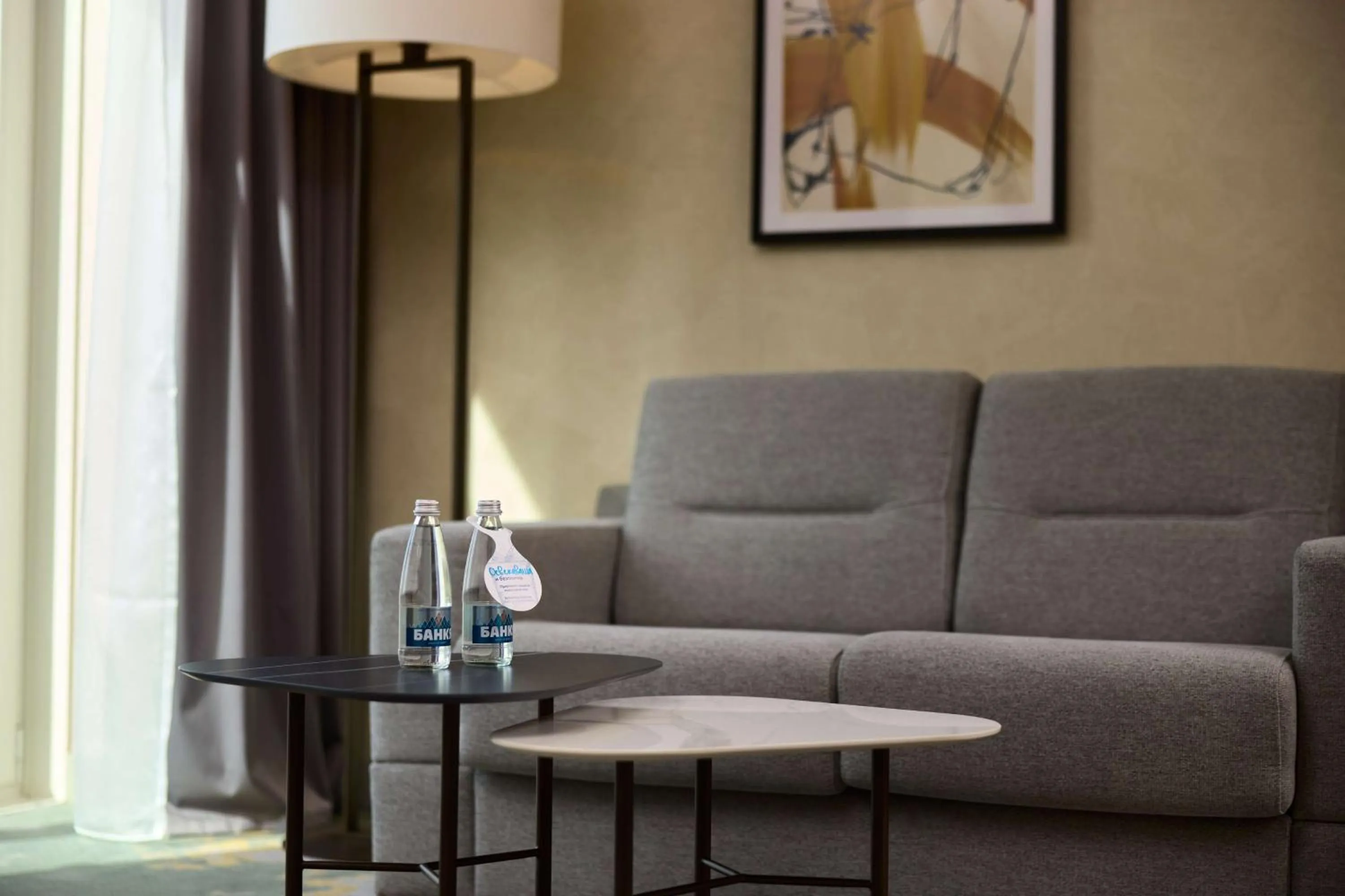 Living room in Hilton Sofia