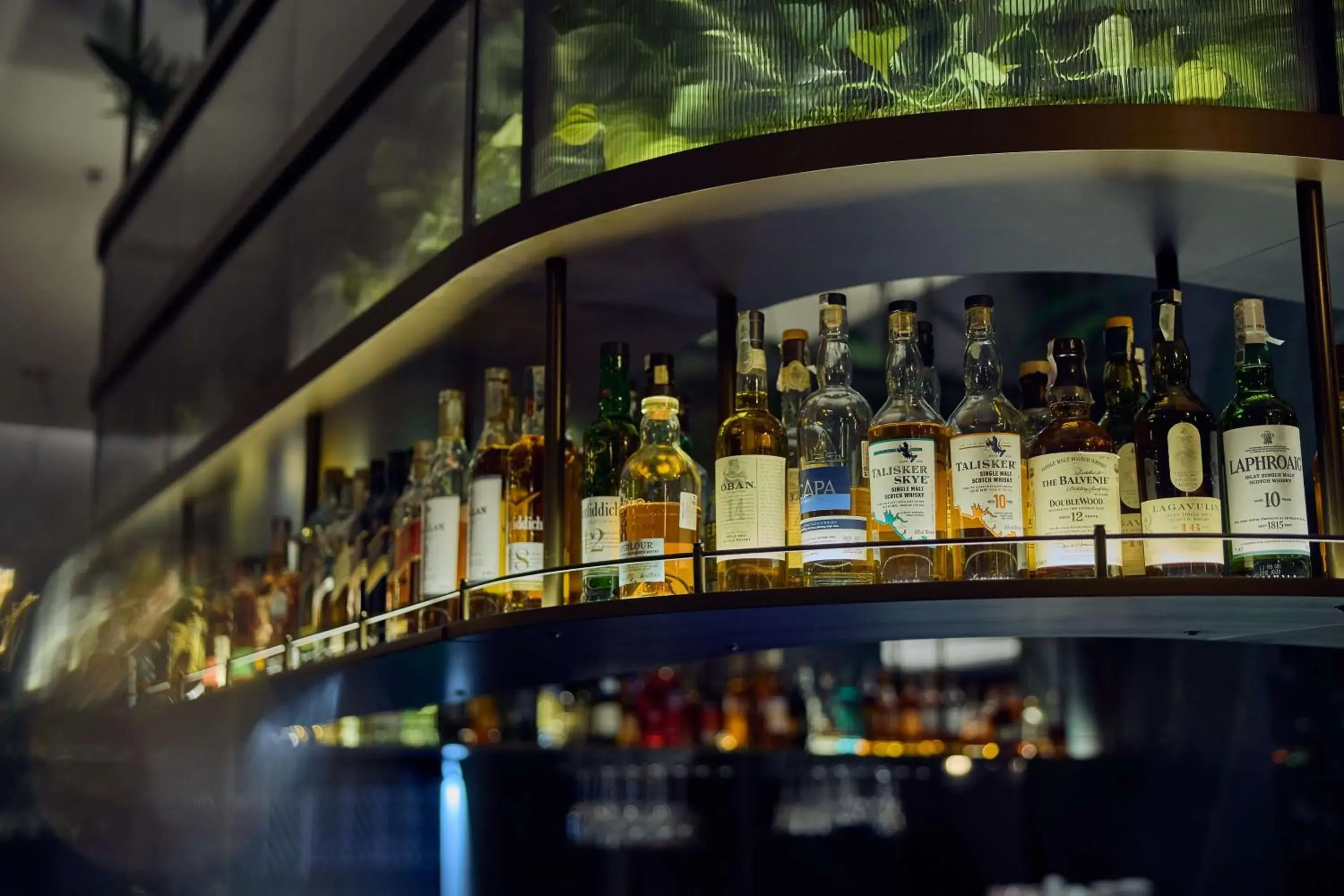 Lounge or bar in Hilton Sofia Lounge or bar in Hilton Sofia