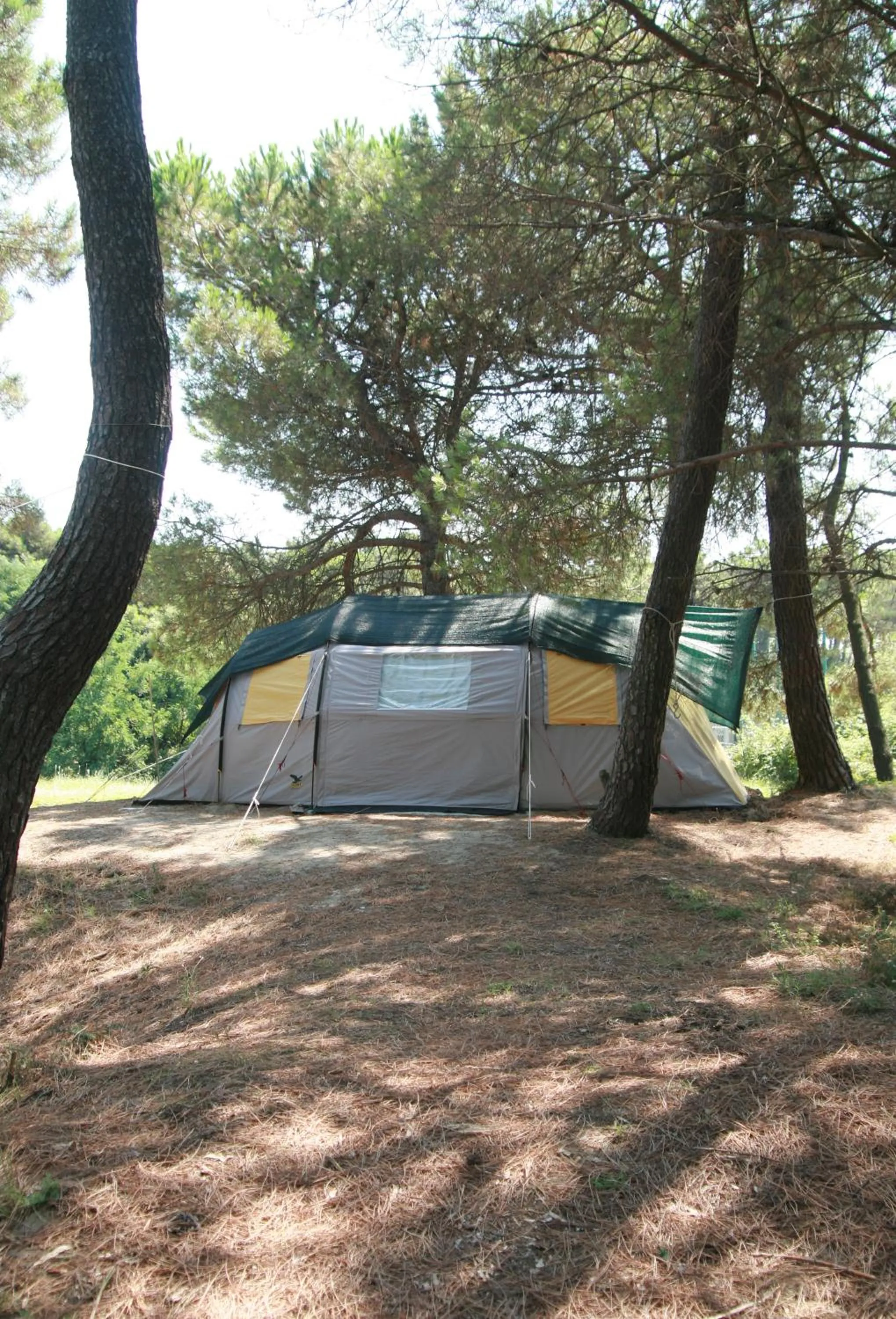 Garden in Club del Sole Spina Family Collection