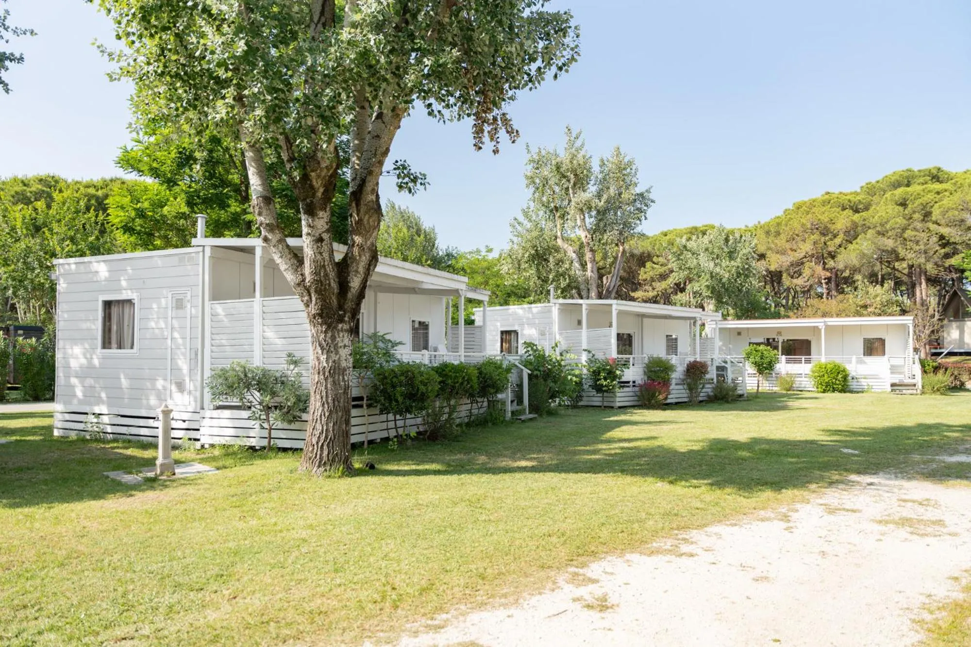 Property building in Club del Sole Spina Family Collection