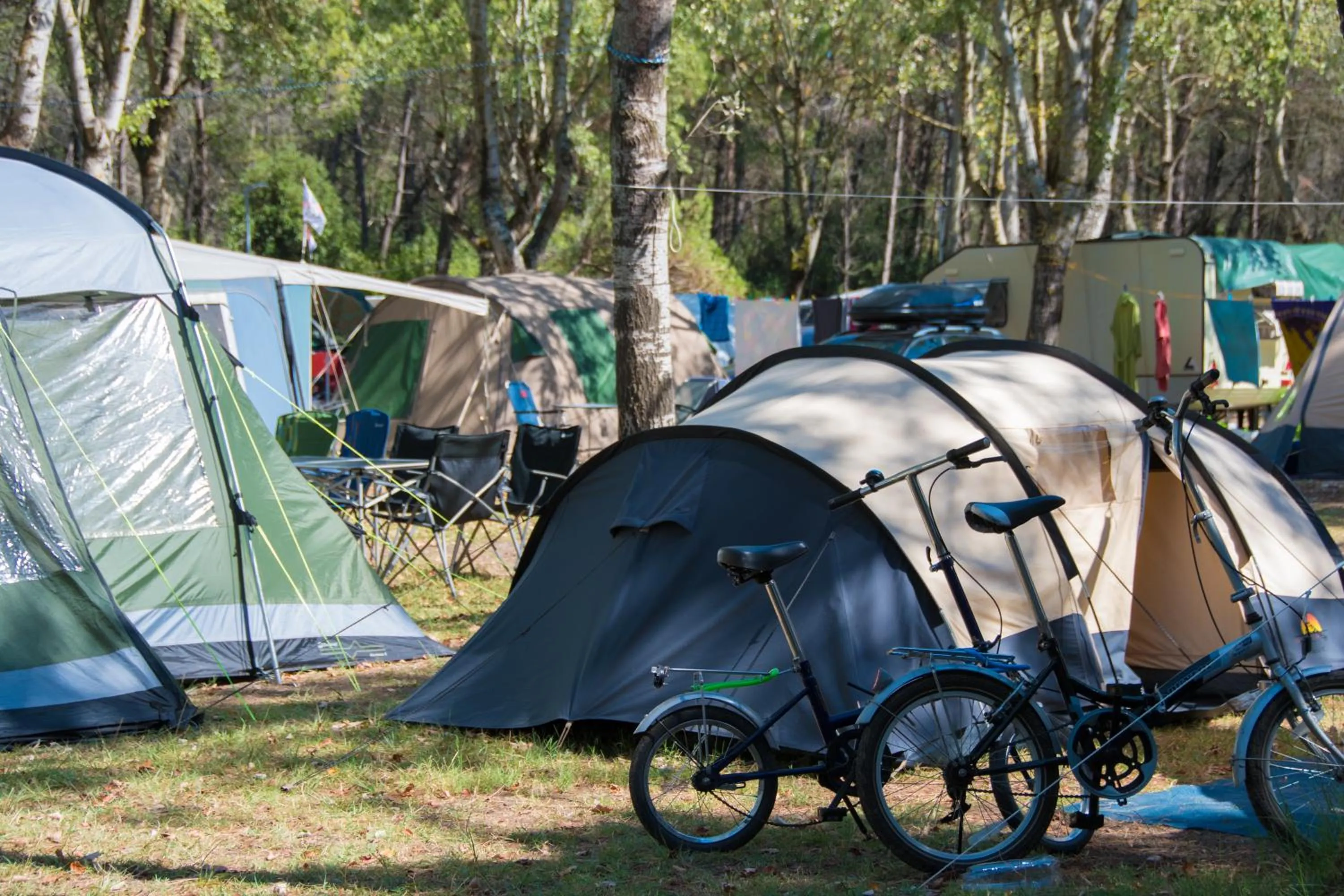 Garden in Club del Sole Spina Family Collection