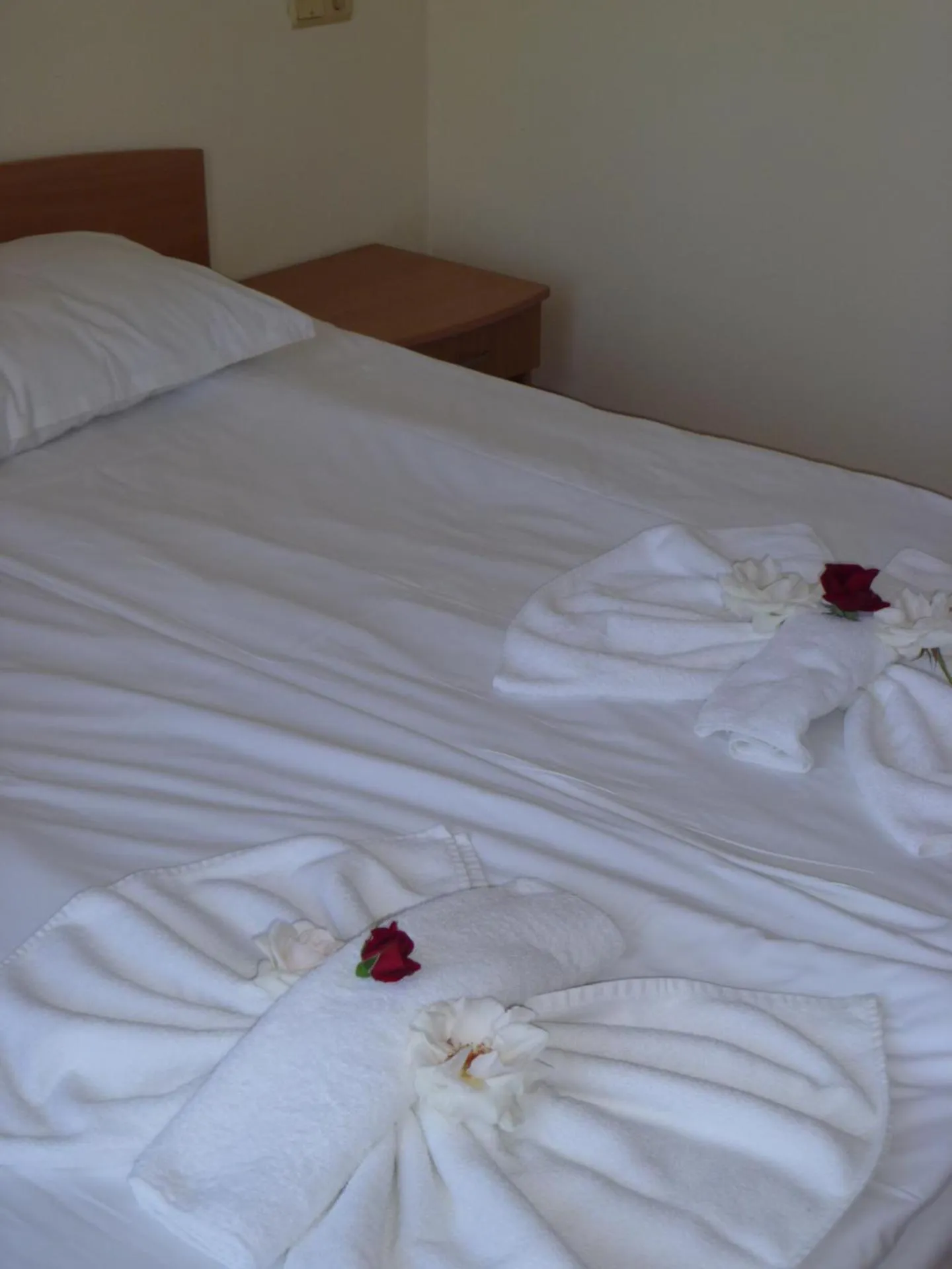 Photo of the whole room, Bed in Apartment Tourist Complex Rose Village