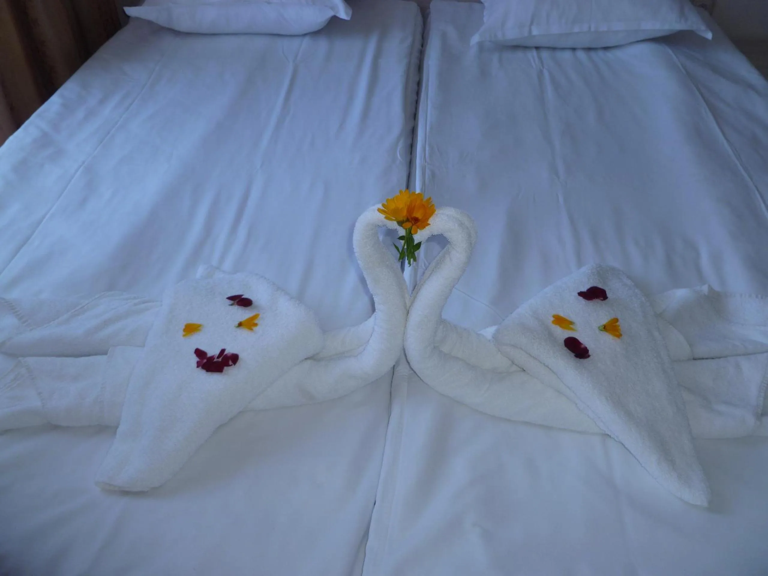 Property building, Bed in Apartment Tourist Complex Rose Village