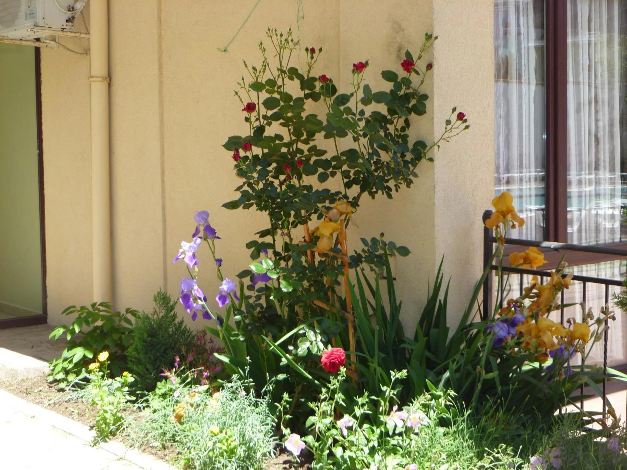 Property building in Apartment Tourist Complex Rose Village