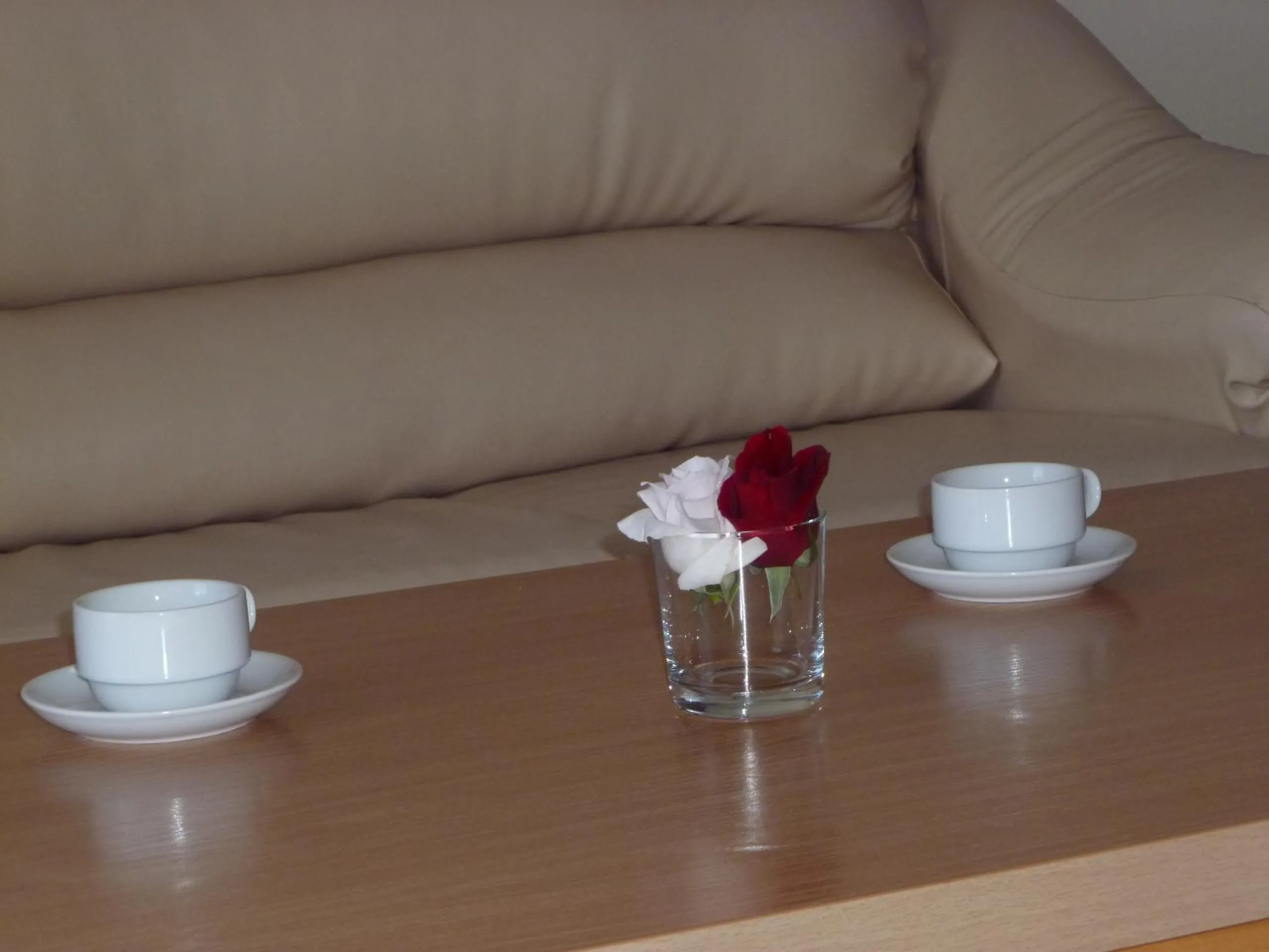 Living room in Apartment Tourist Complex Rose Village