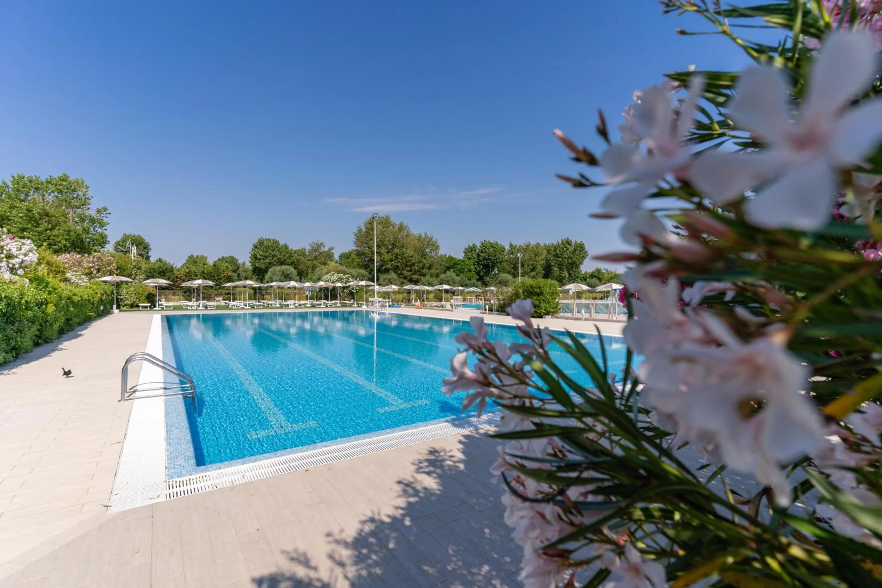 Pool view in Club del Sole Vigna sul Mar Family Collection