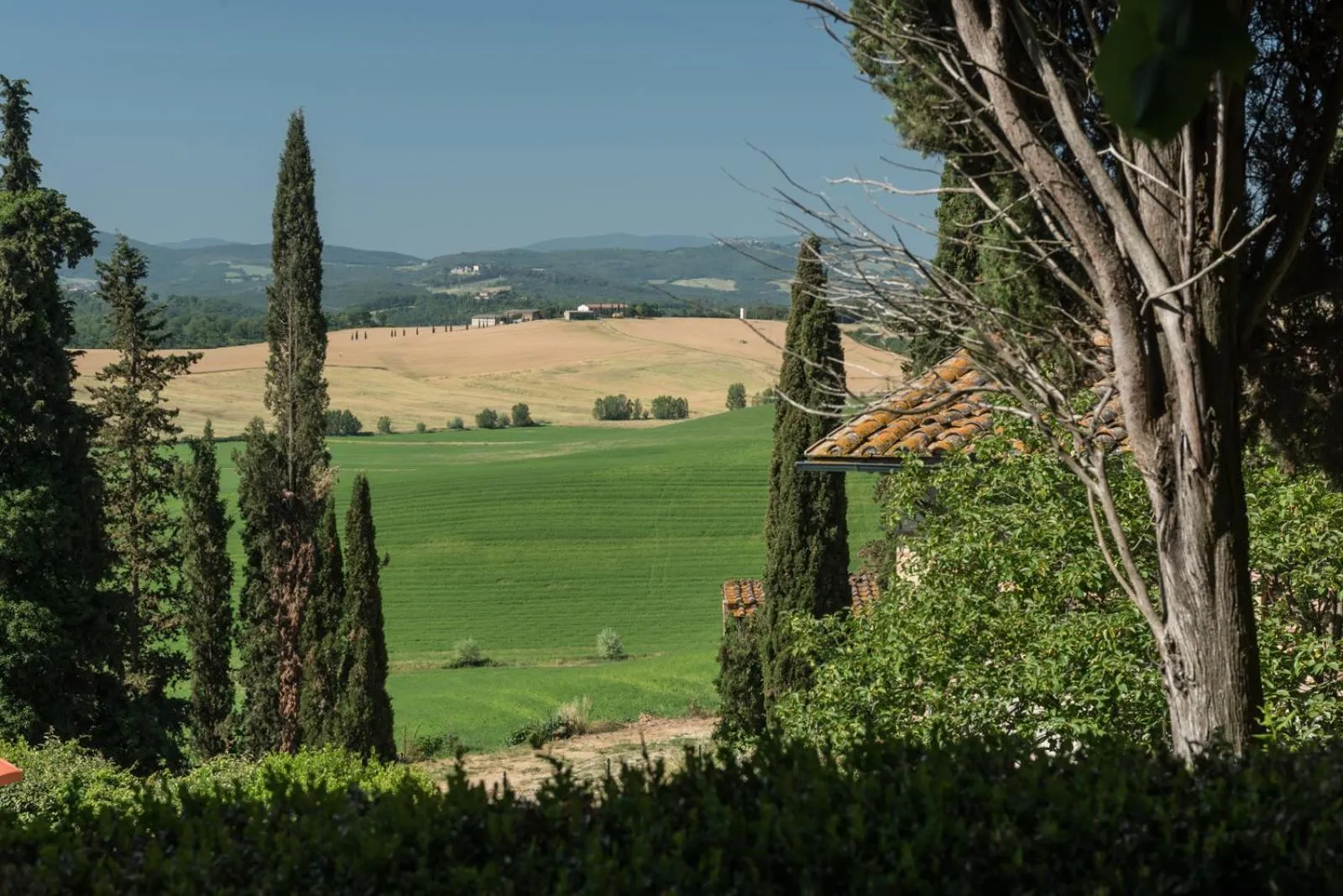 Agriturismo Tenuta Di Mensanello