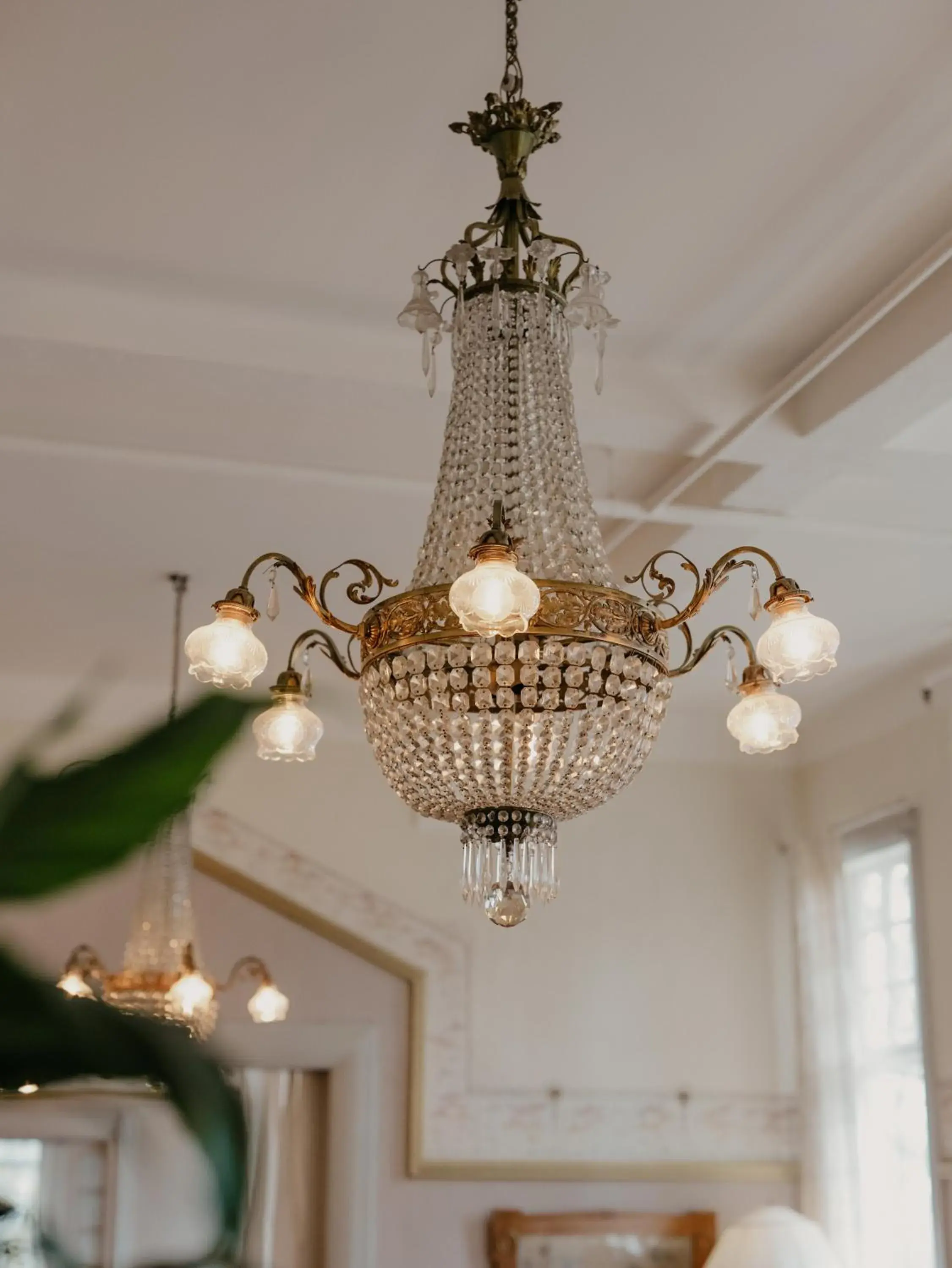 Area and facilities in Mössebergs Kurort Area and facilities in Mössebergs Kurort