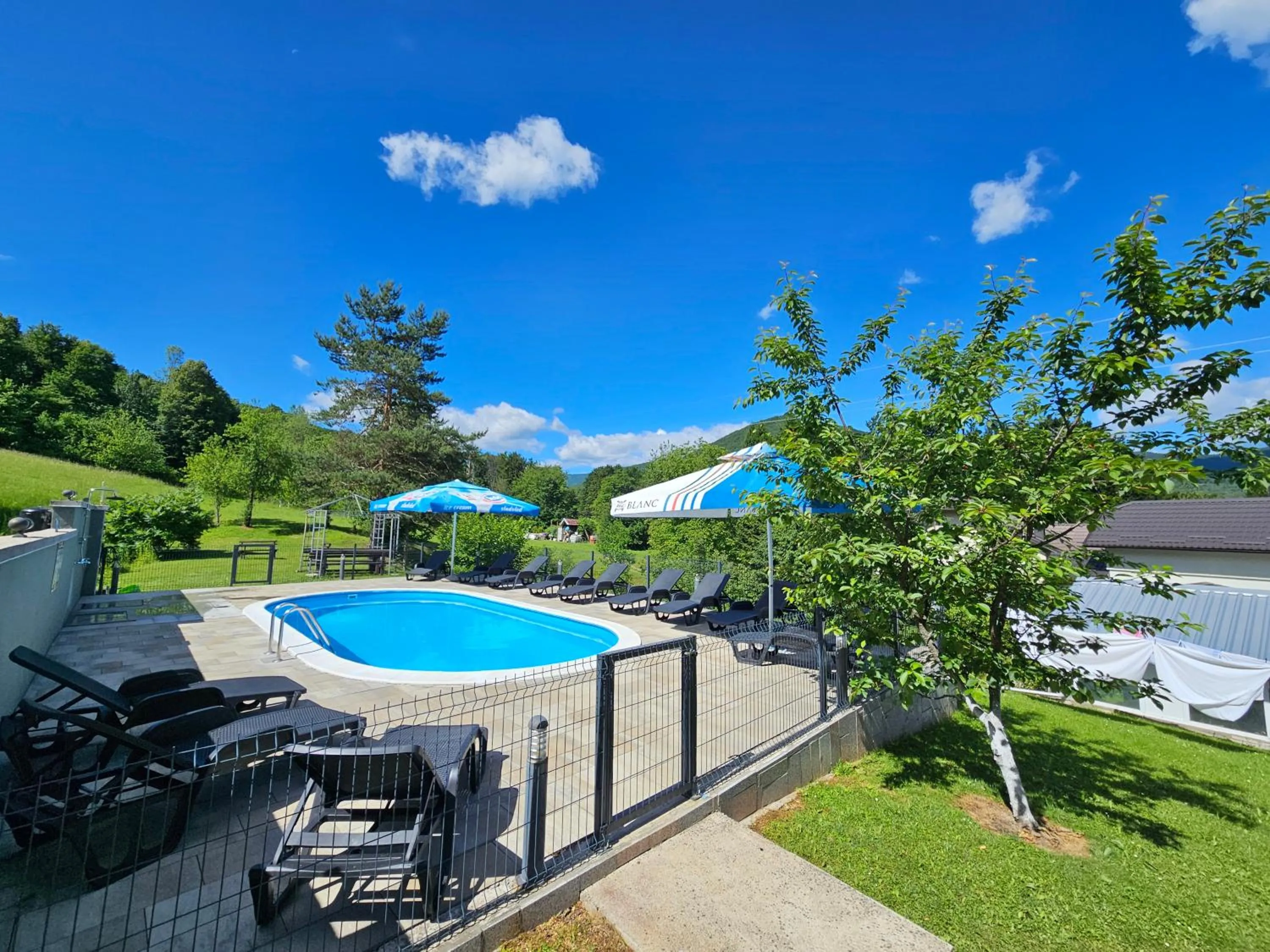 Swimming pool in House Mirjana