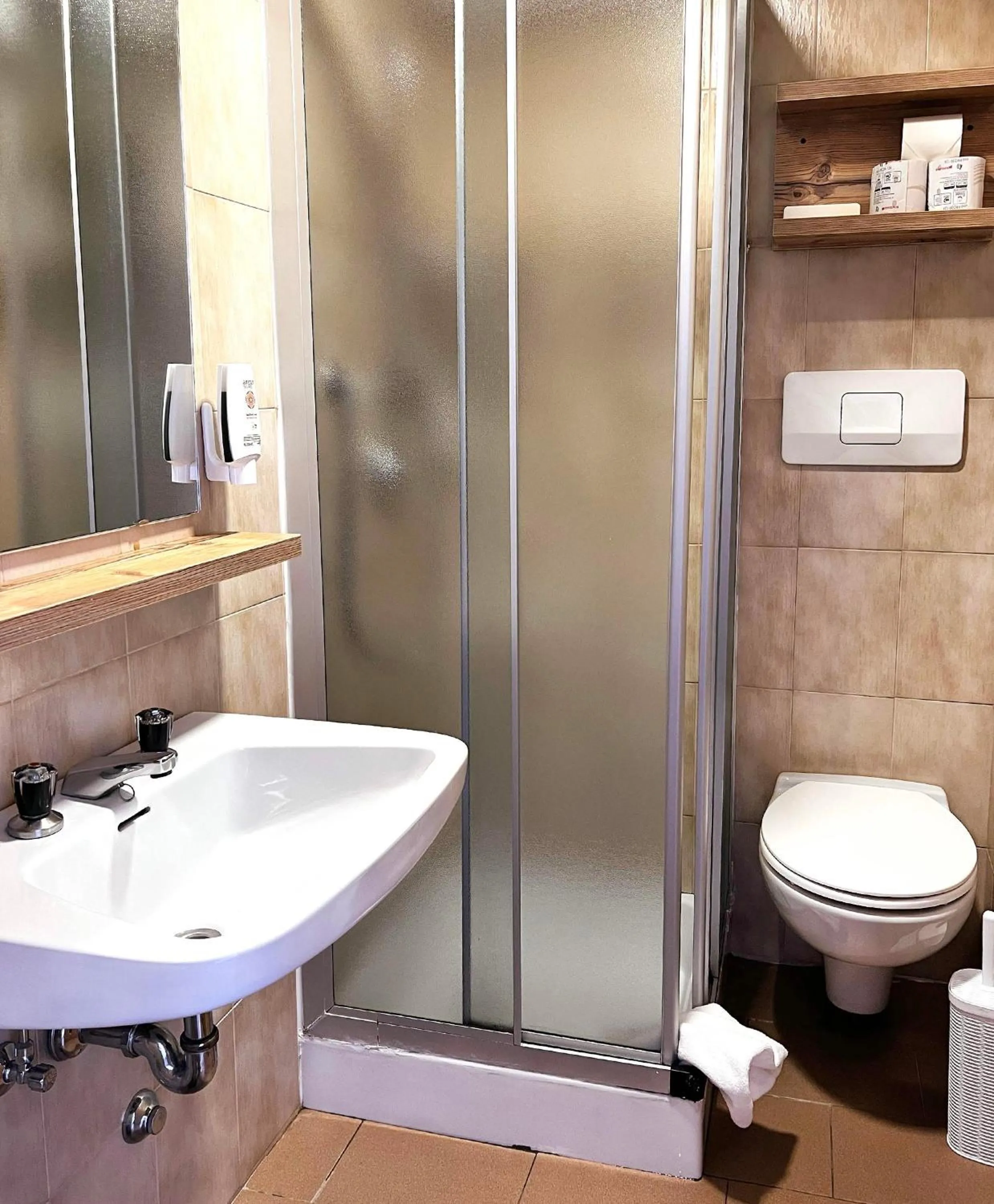 Bathroom in Hotel Latemar