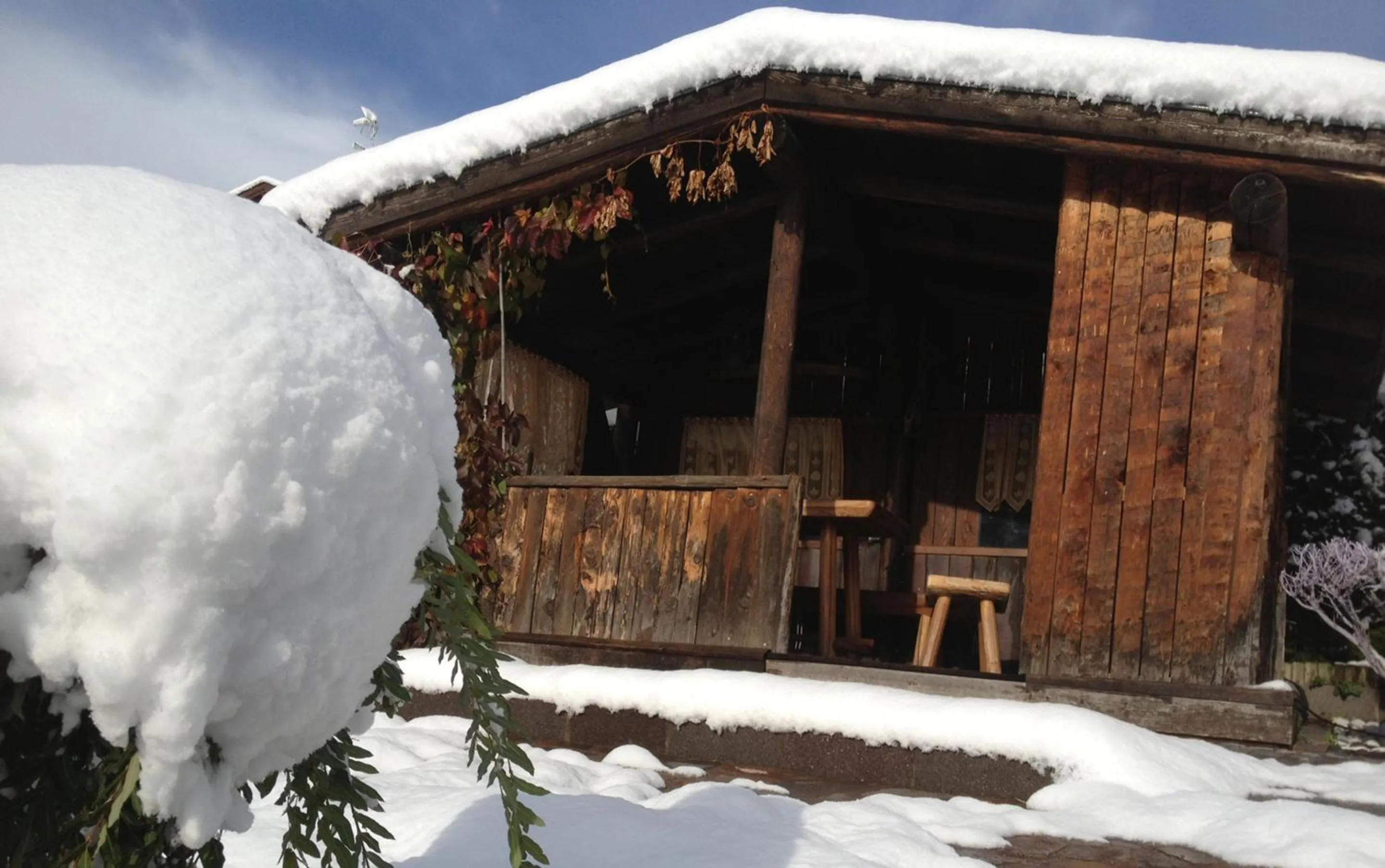 Garden view in Hotel Latemar