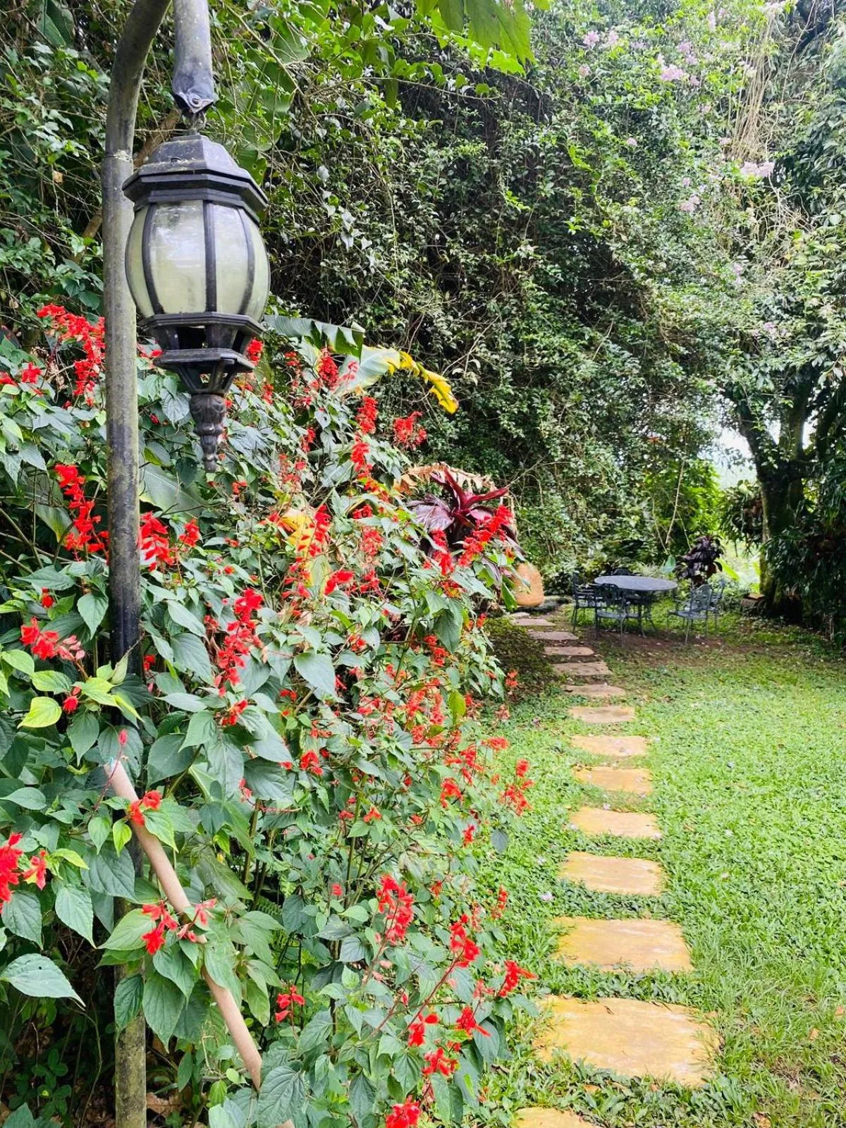 Garden view in Finca Hotel Los Girasoles