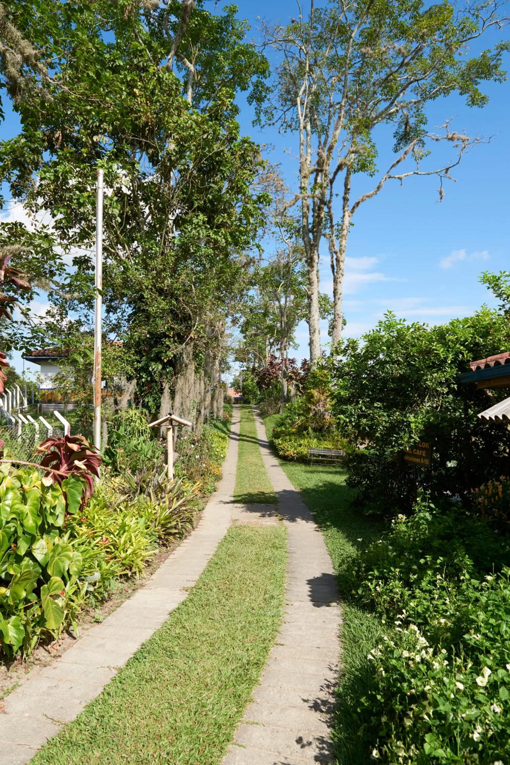 Facade/entrance in Finca Hotel Los Girasoles