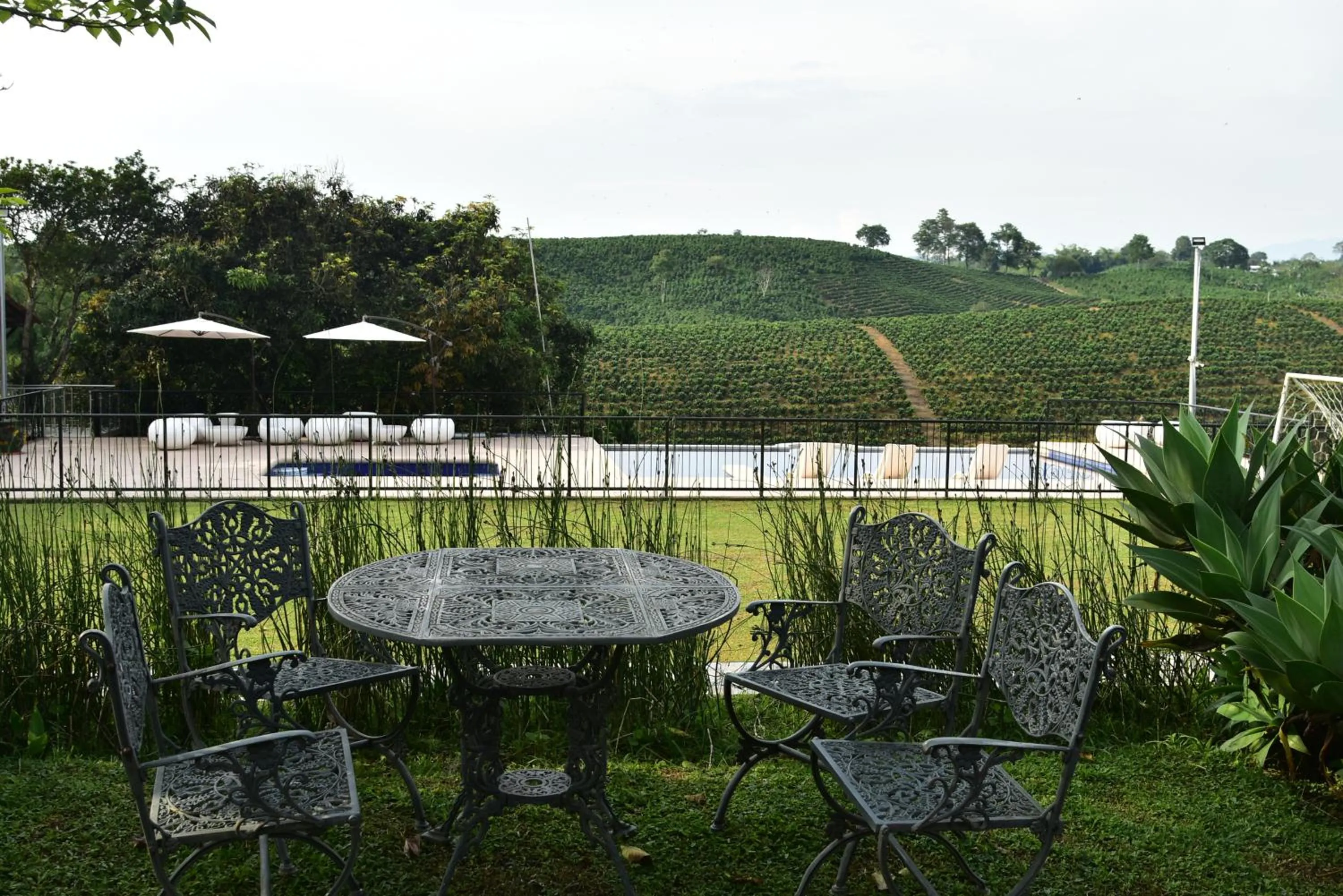 Natural landscape in Finca Hotel Los Girasoles