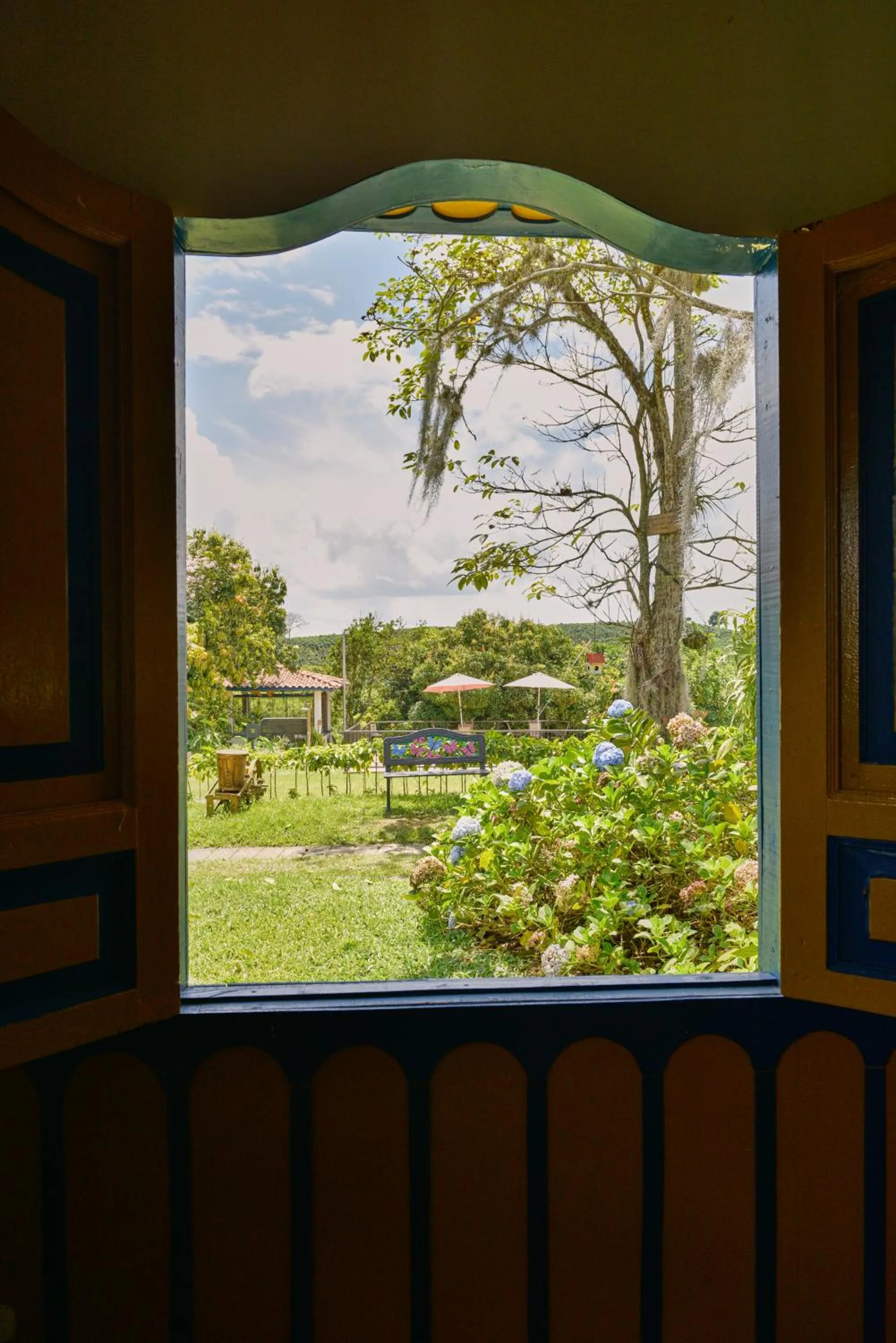 Garden in Finca Hotel Los Girasoles