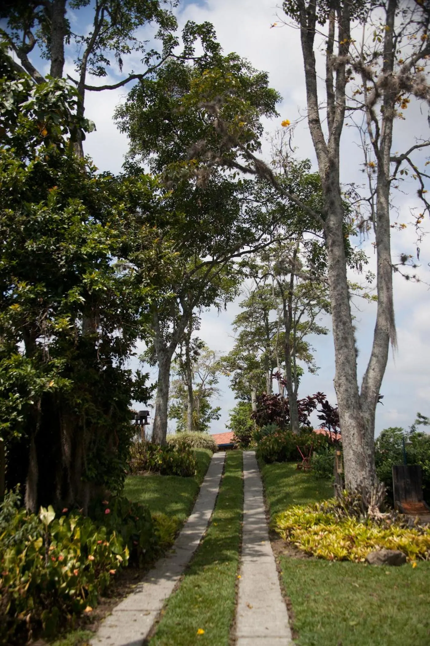 Lobby or reception in Finca Hotel Los Girasoles