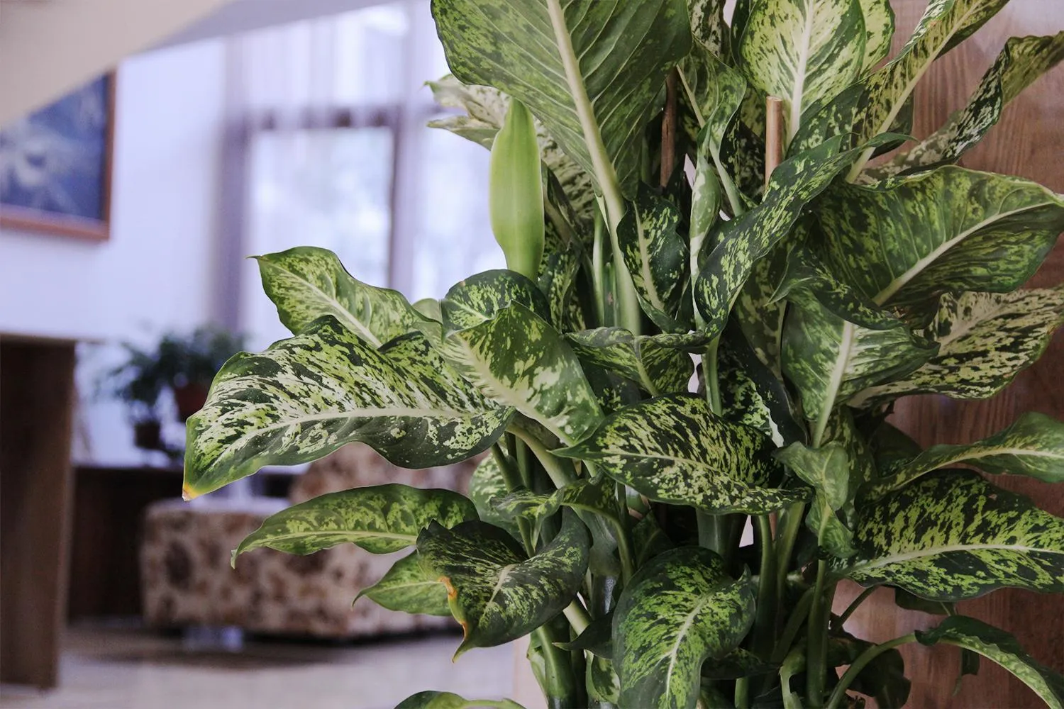 Kamchia Park Hotel - All Inclusive & Free Parking