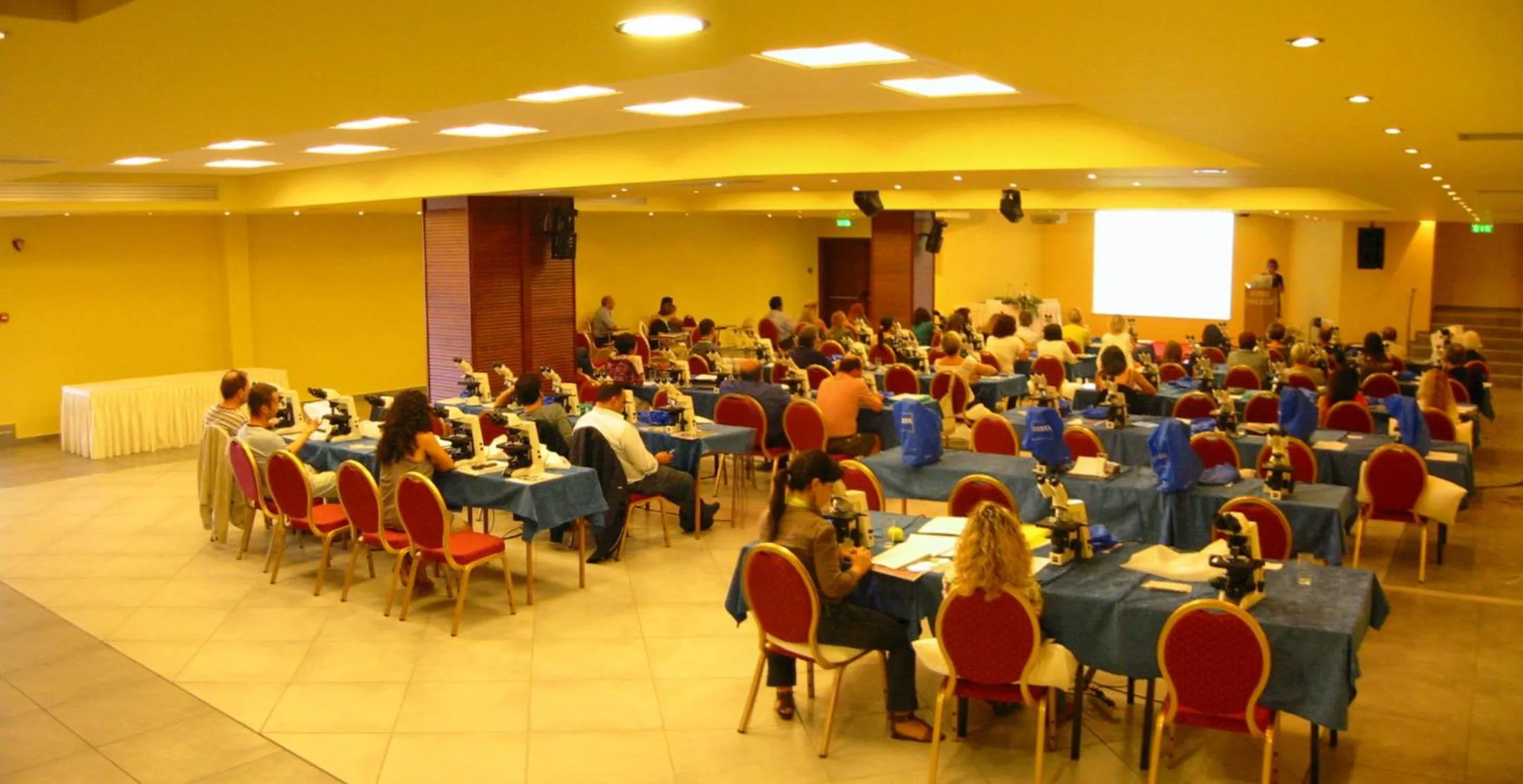 Meeting/conference room in Kymi Palace