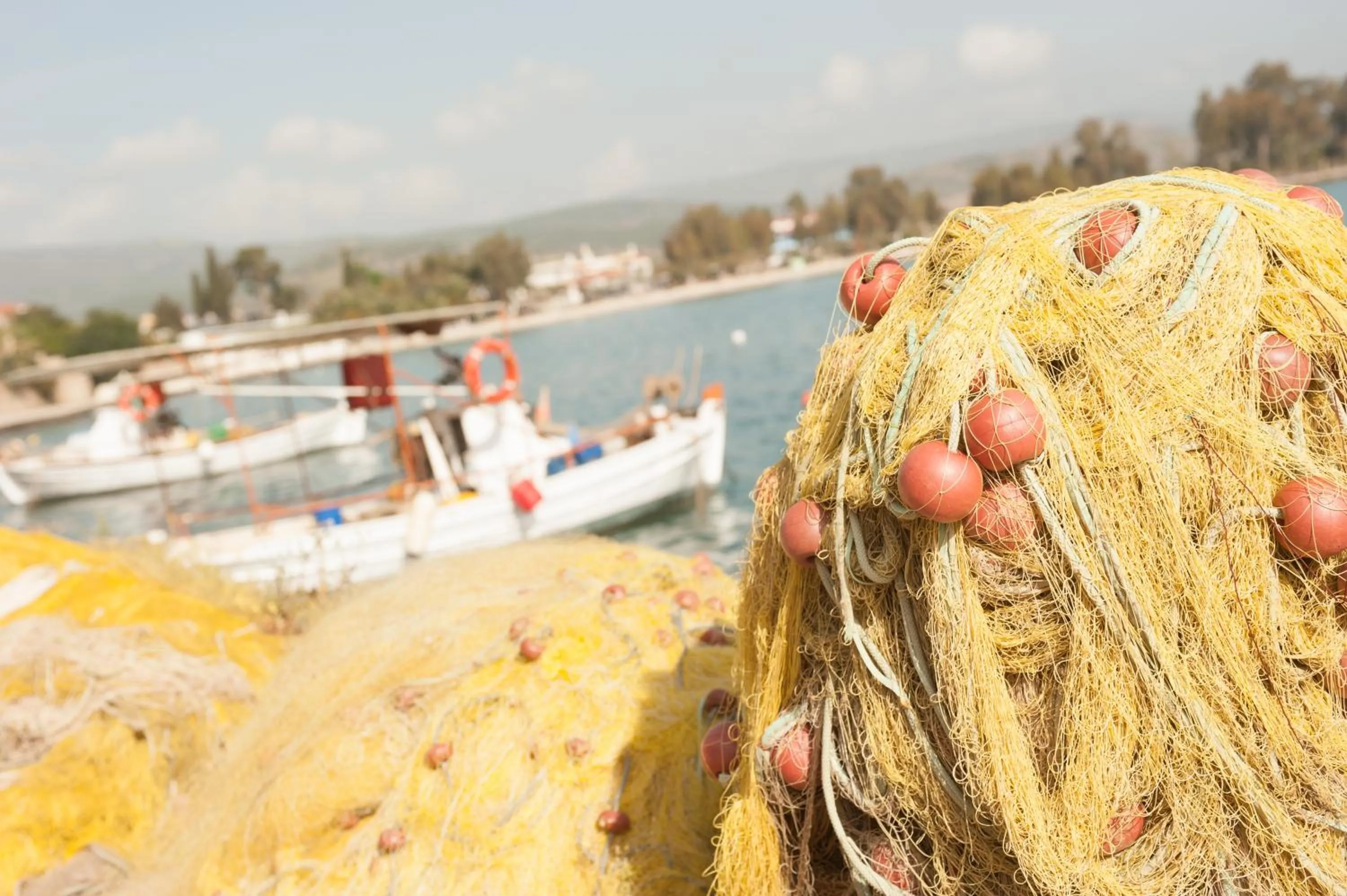 Off site in Vasilis Studios