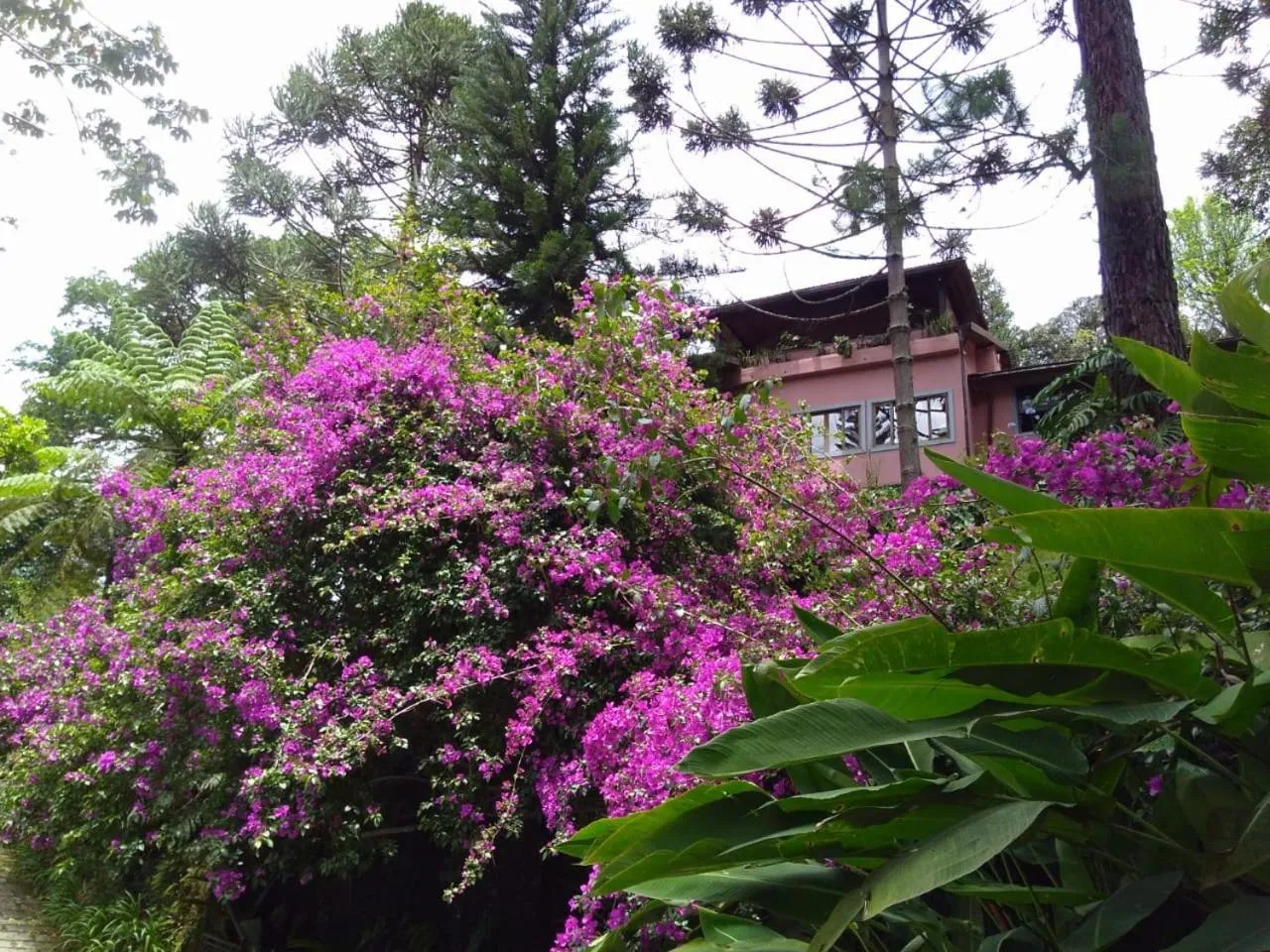 Casa Fazenda Inglesa Petrópolis RJ