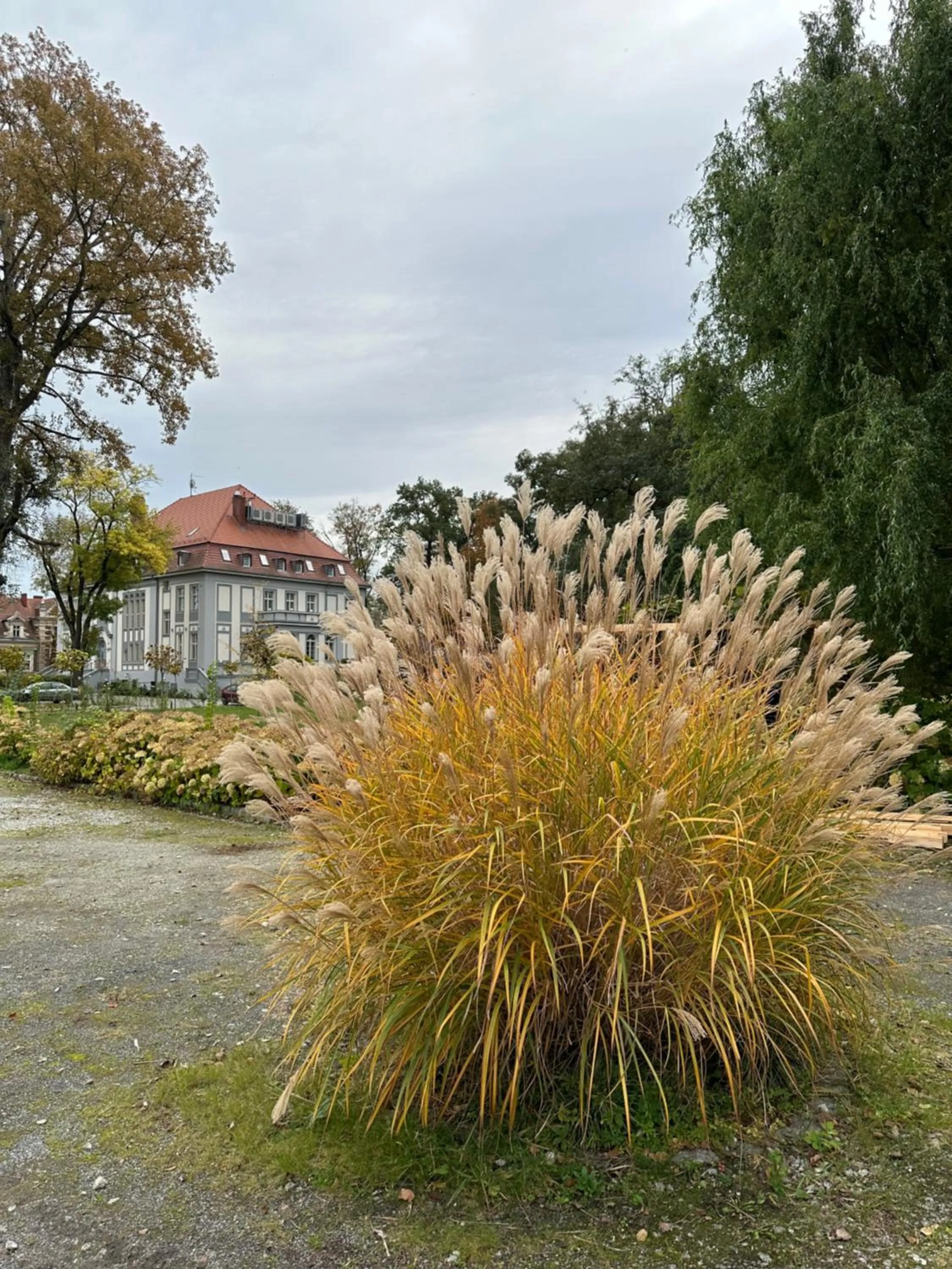 Property building in Hotel Willa Starosty