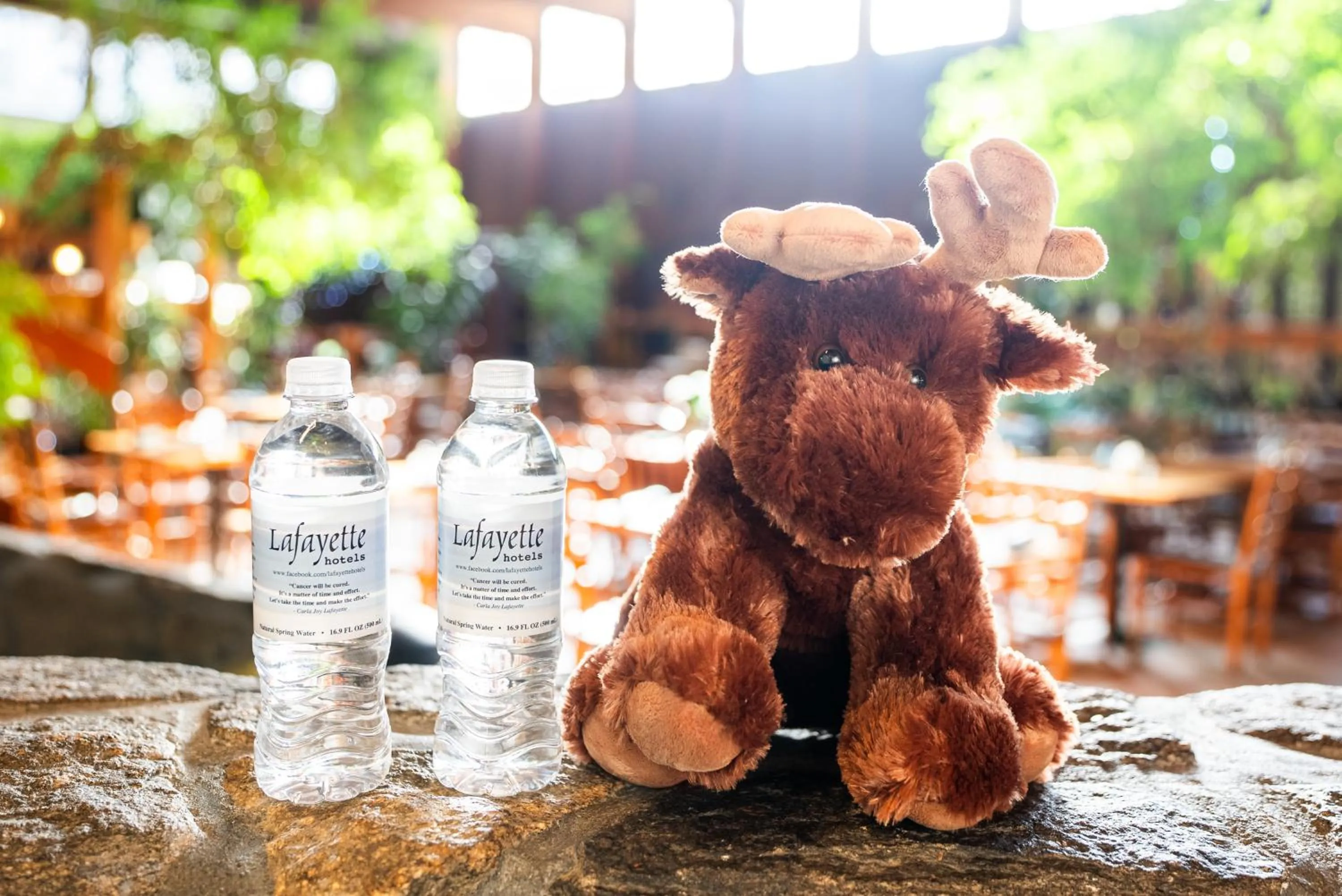 Shopping Area in Fireside Inn & Suites West Lebanon