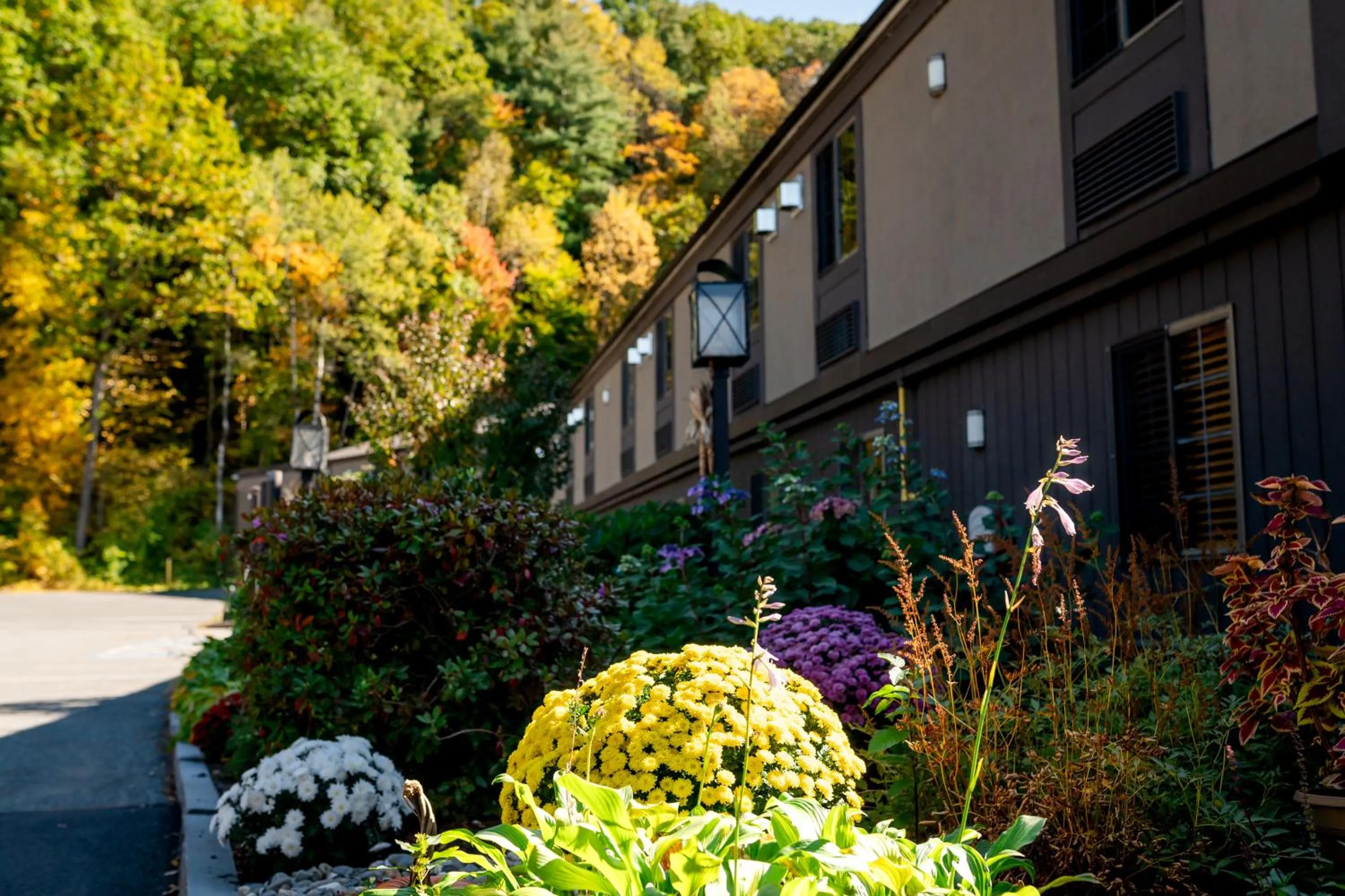 Property building in Fireside Inn & Suites West Lebanon