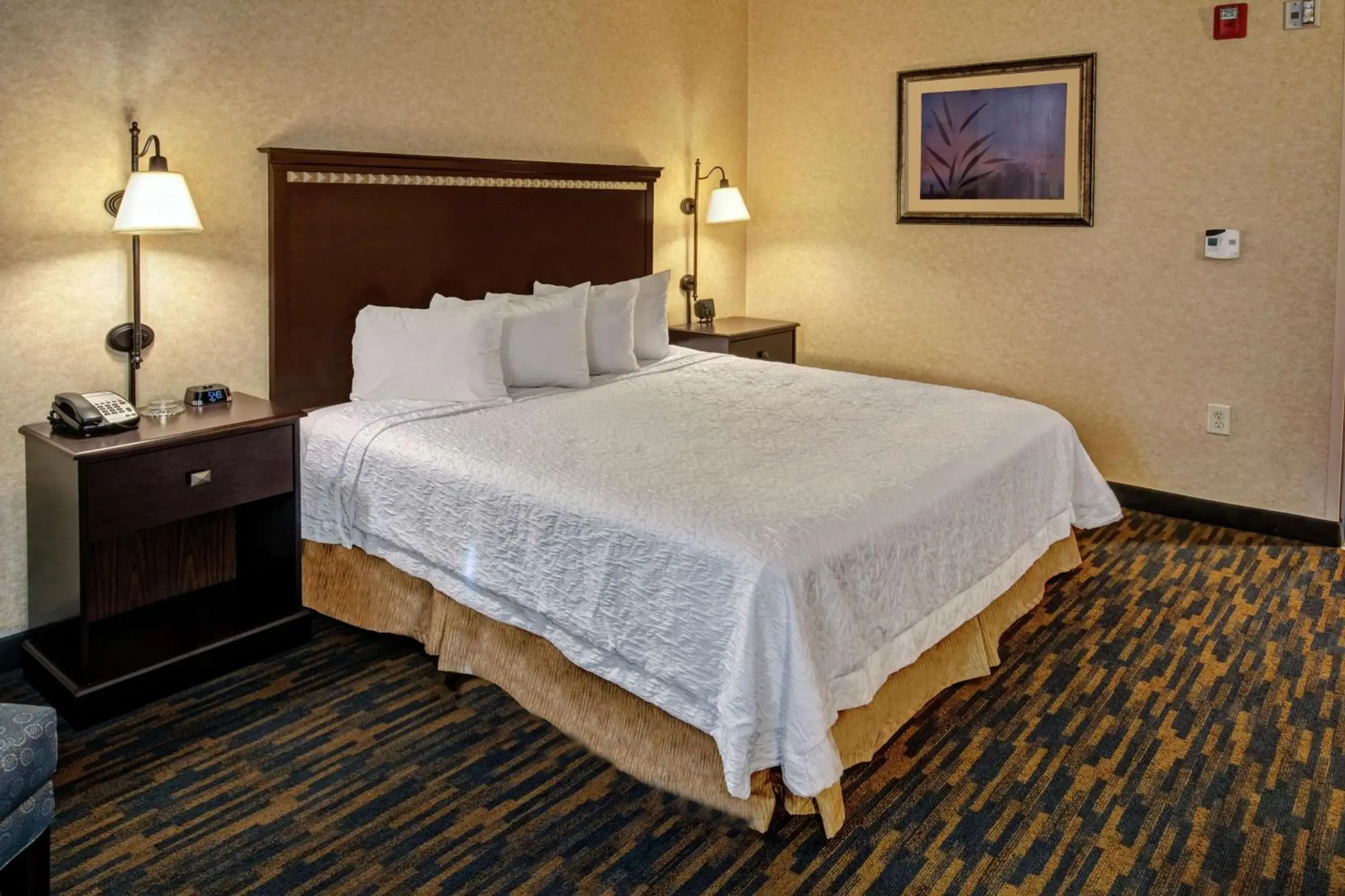 Bed in Hampton Inn Roanoke Rapids Bed in Hampton Inn Roanoke Rapids