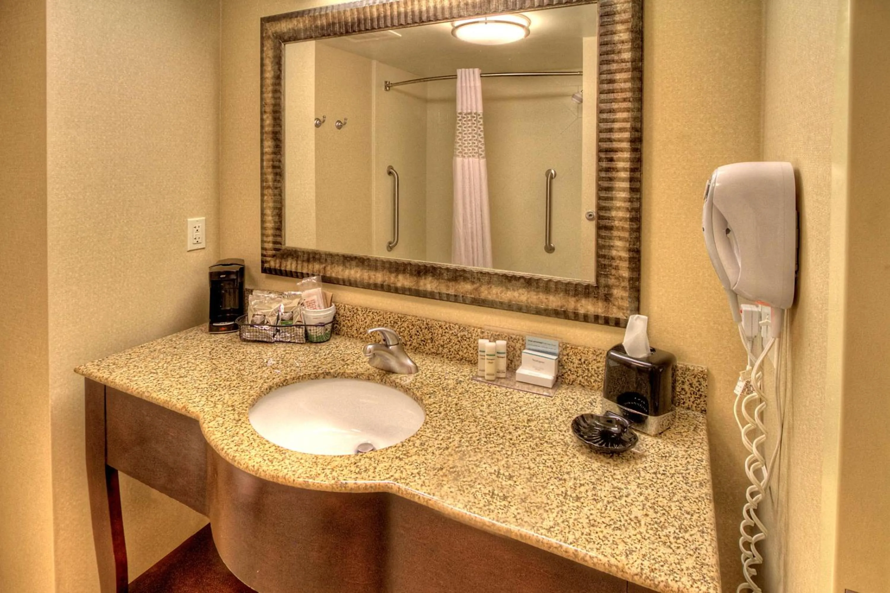 Bathroom in Hampton Inn Roanoke Rapids