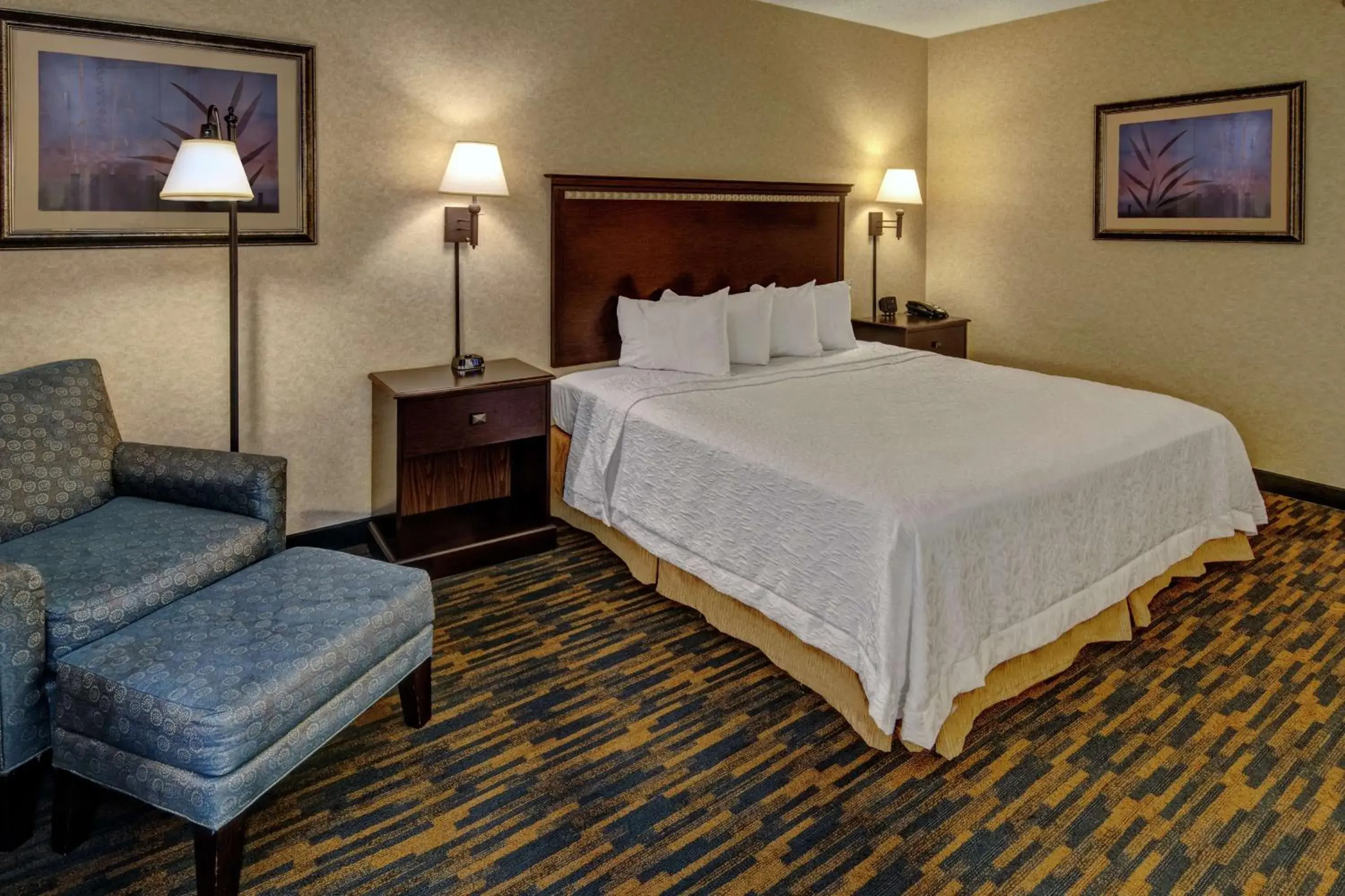 King Room - Mobility Access/Non-Smoking in Hampton Inn Roanoke Rapids King Room - Mobility Access/Non-Smoking in Hampton Inn Roanoke Rapids