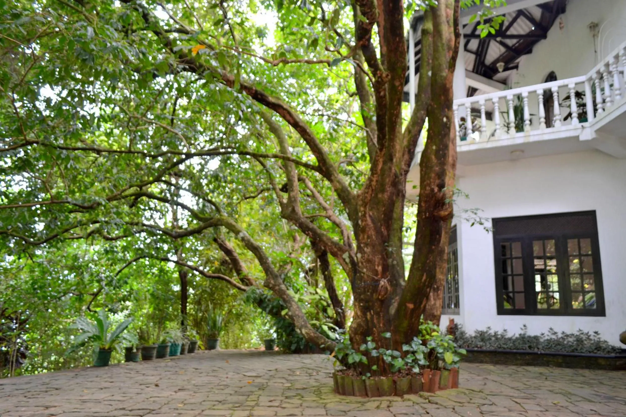 Hotel Breeta's Garden