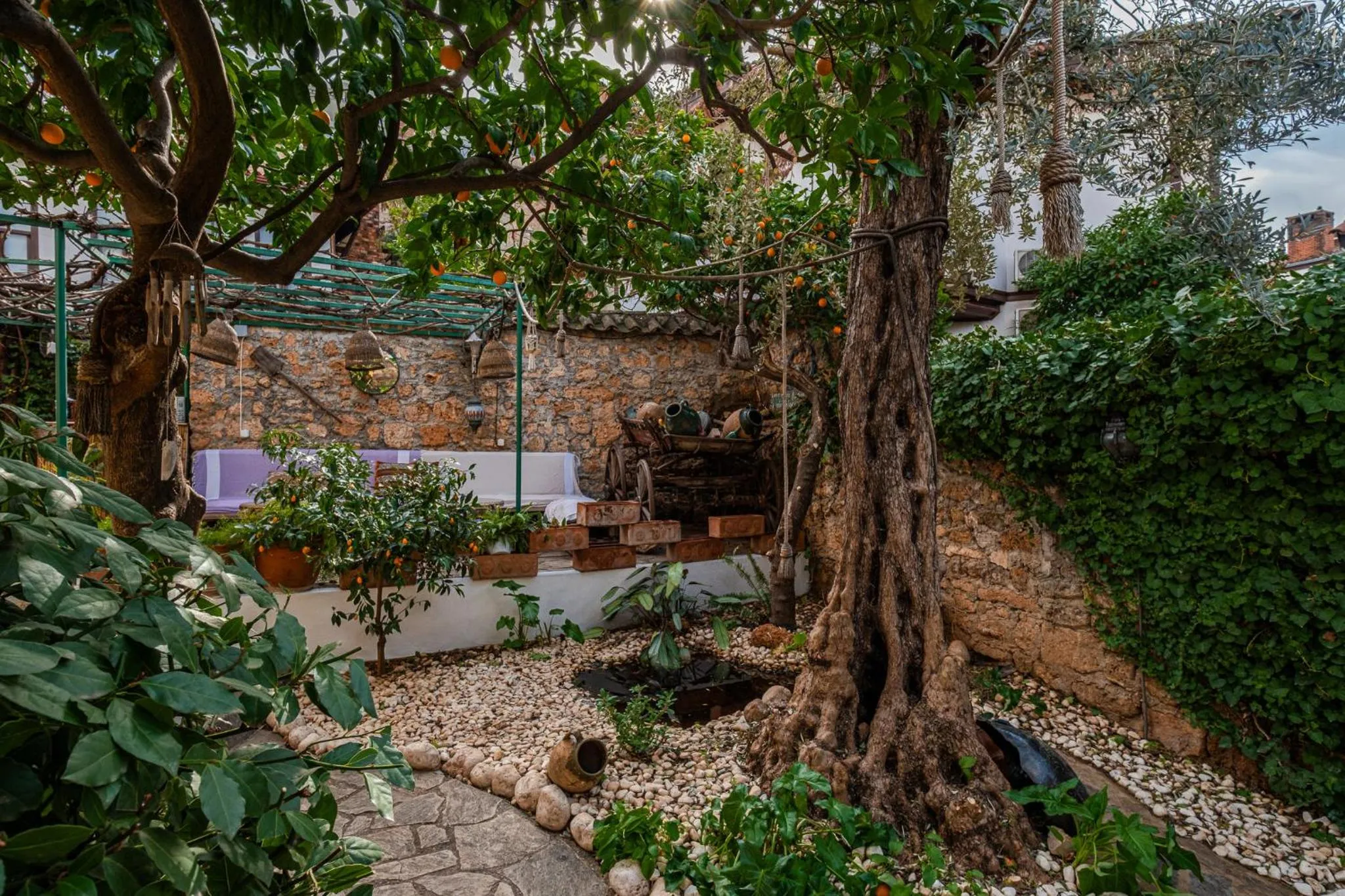 Day in Villa Tulipan