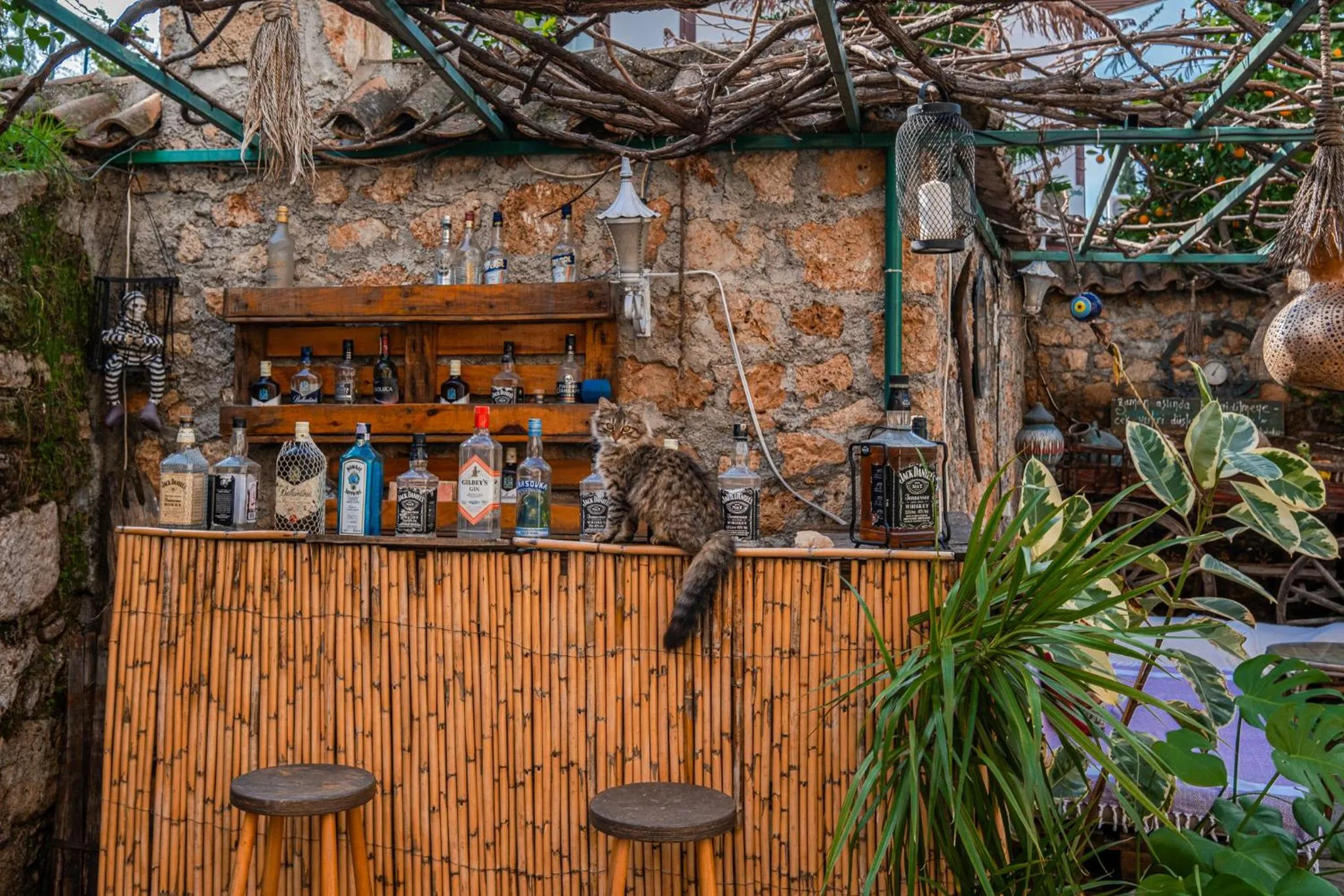 Garden in Villa Tulipan