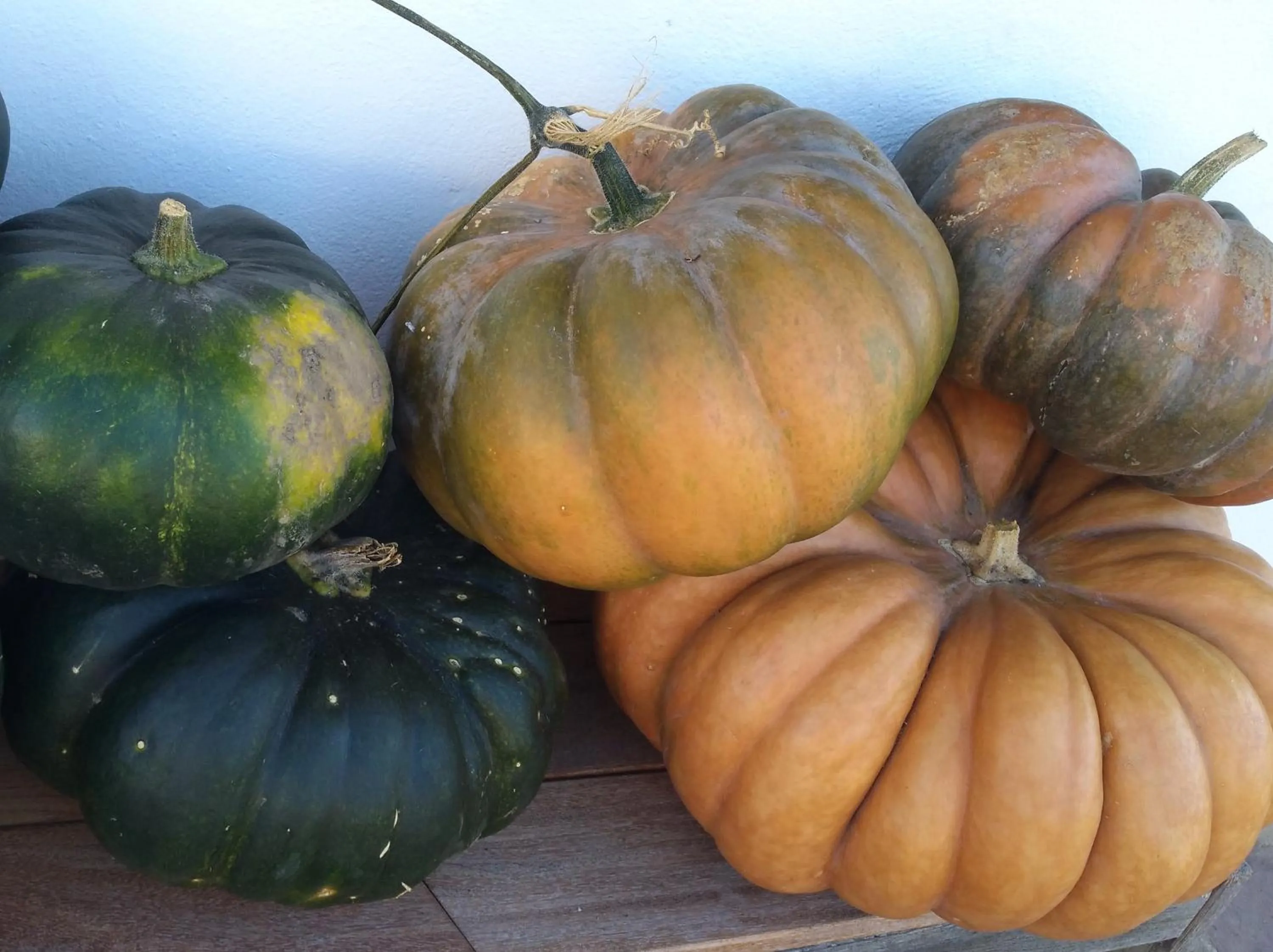 Logis Hotel Xoko-Goxoa