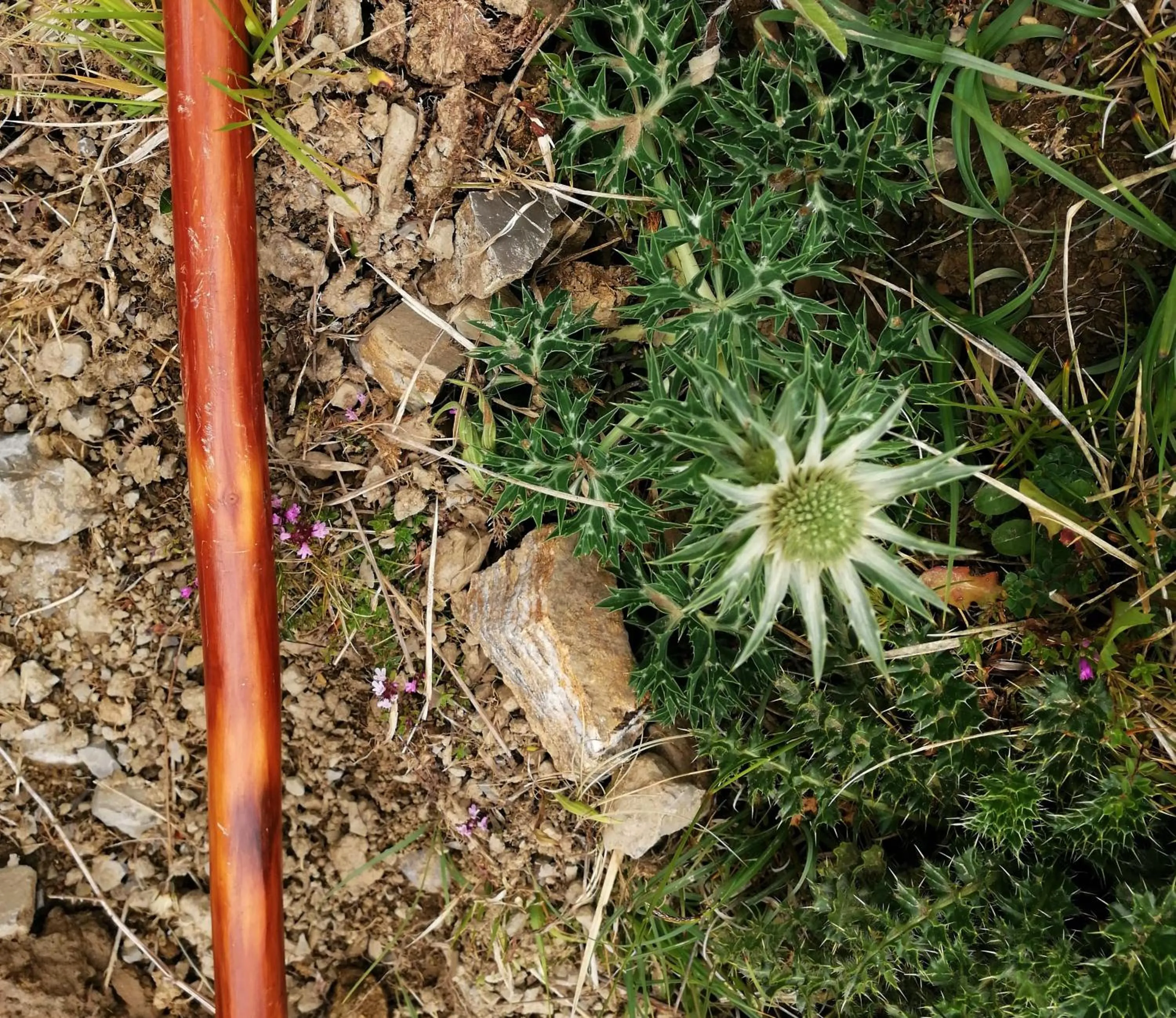 Hiking in Logis Hotel Xoko-Goxoa