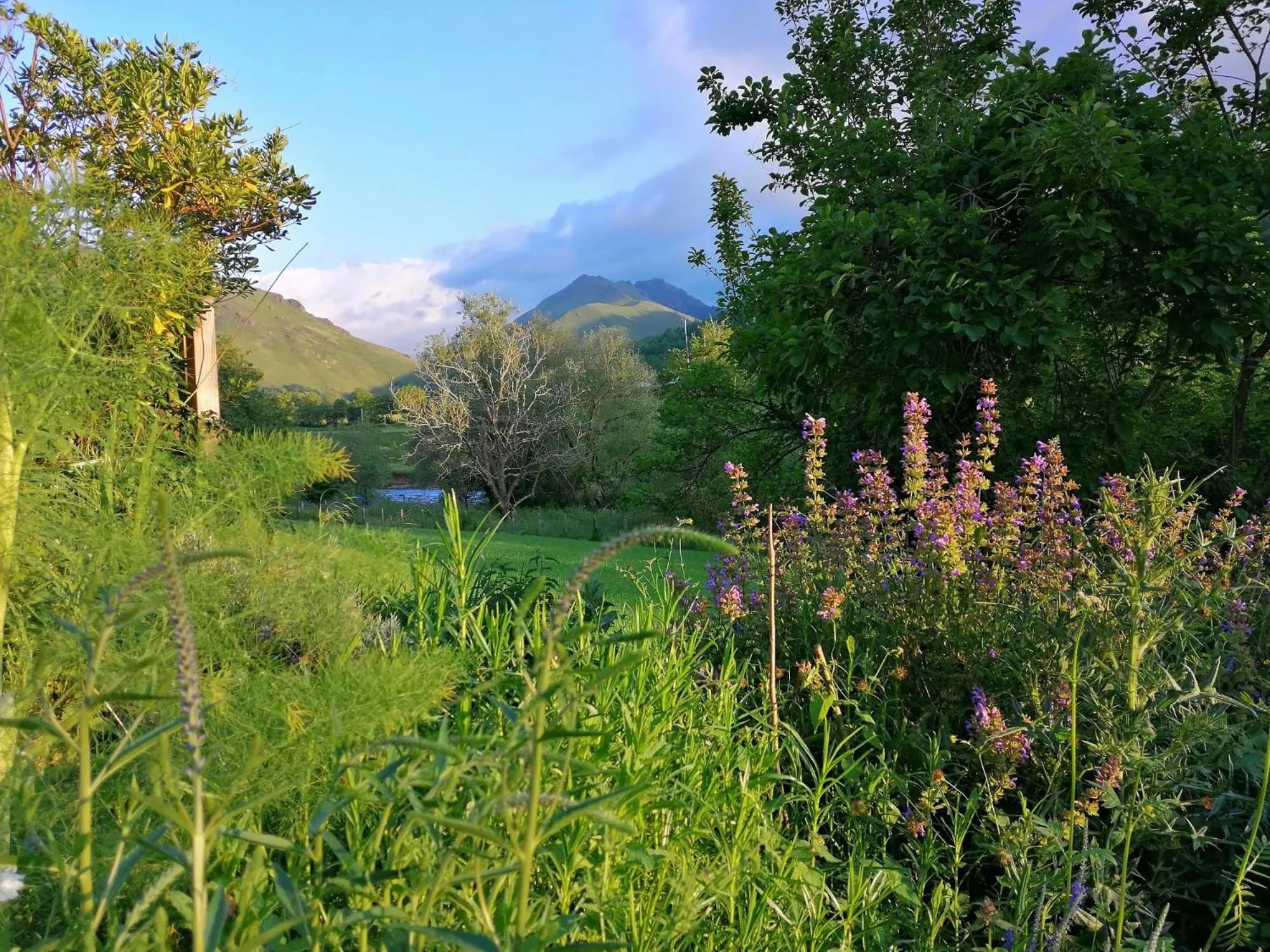 Garden view in Logis Hotel Xoko-Goxoa