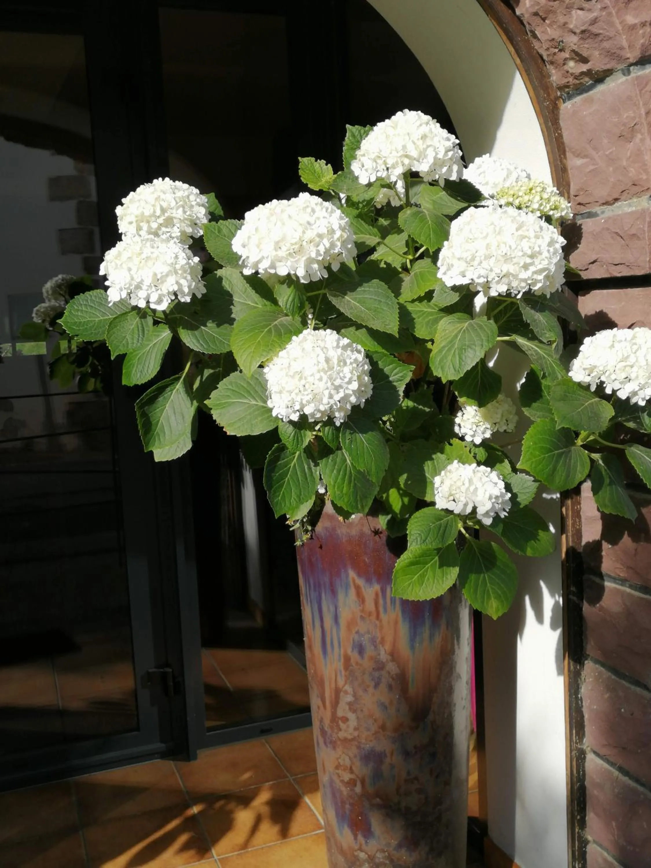 Property building in Logis Hotel Xoko-Goxoa