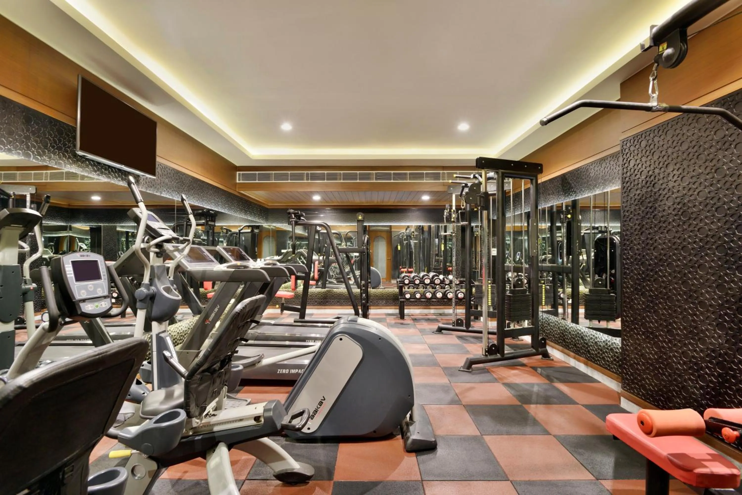 Fitness centre/facilities in Radisson Jodhpur