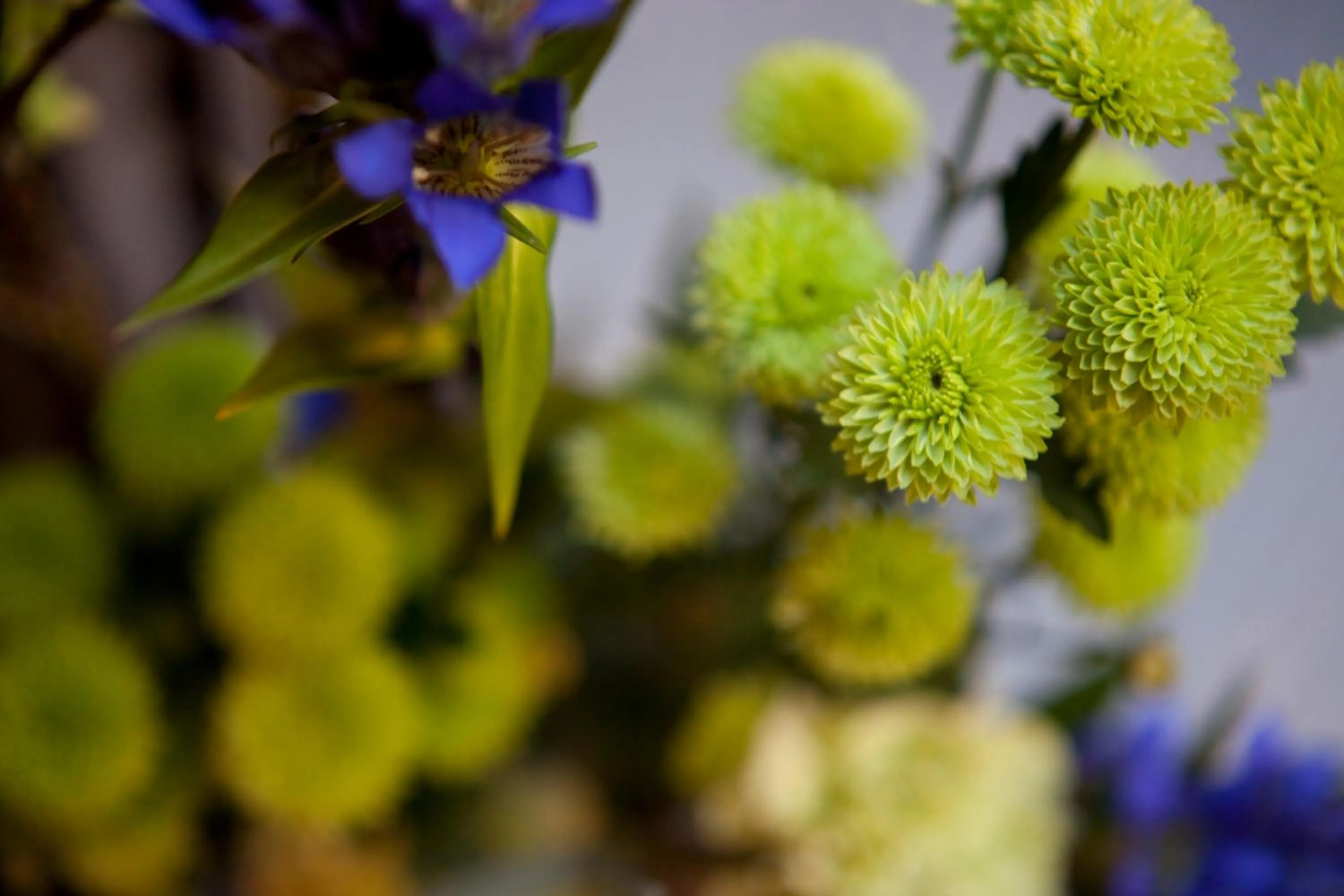 Other in Andon Ryokan