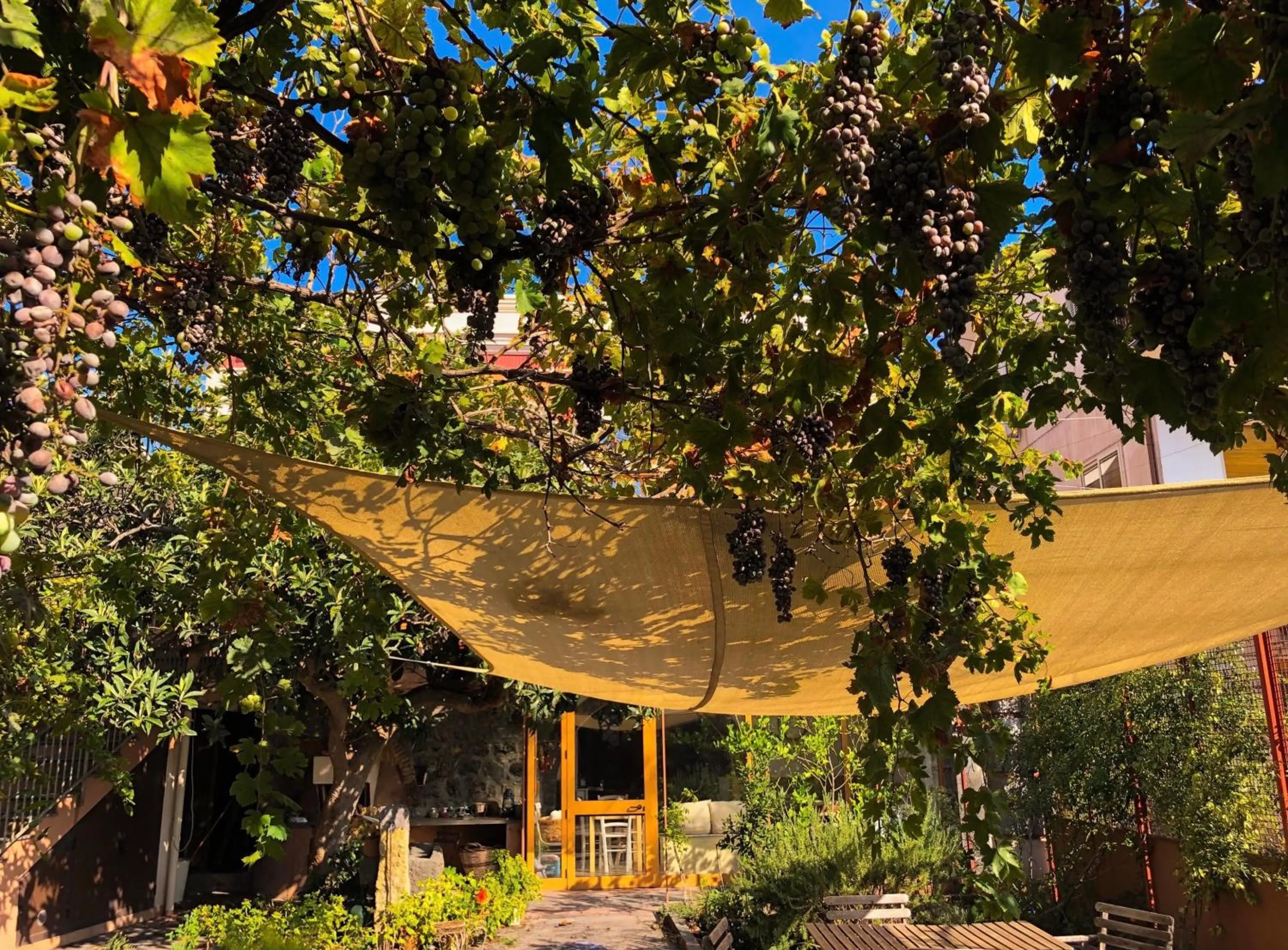 B&B Polifemo Etna