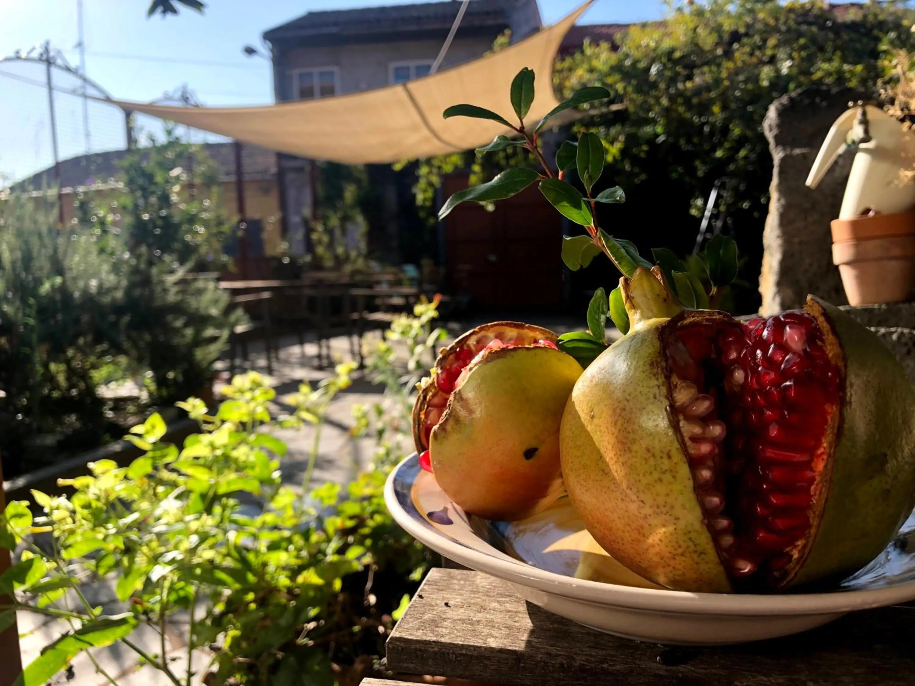 B&B Polifemo Etna