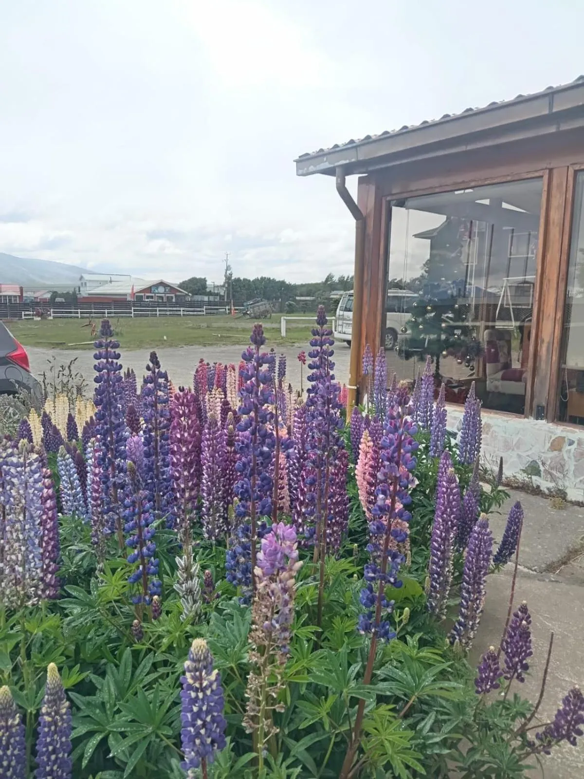 Day in Hostal Doble E Patagonia