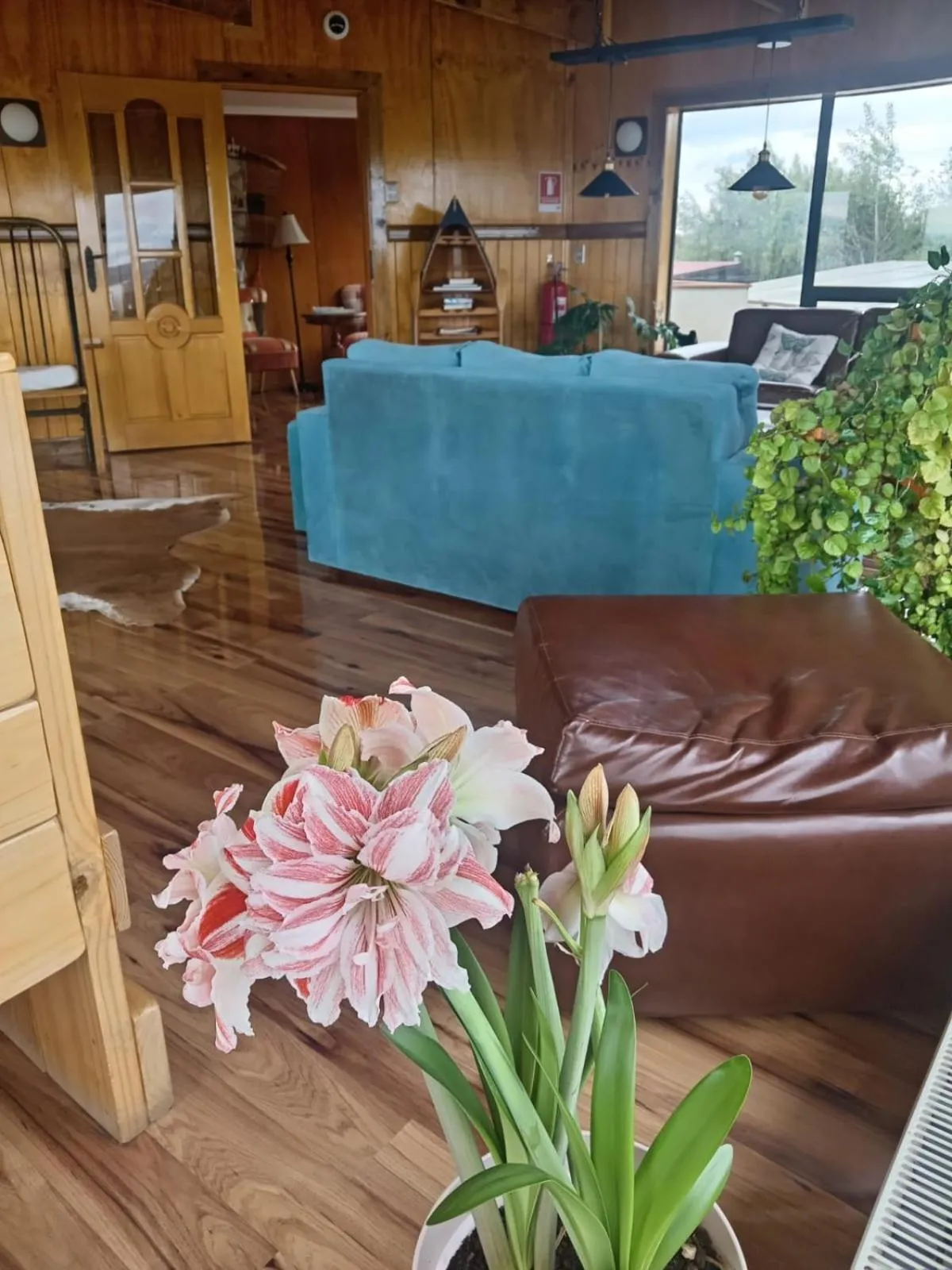 Living room in Hostal Doble E Patagonia