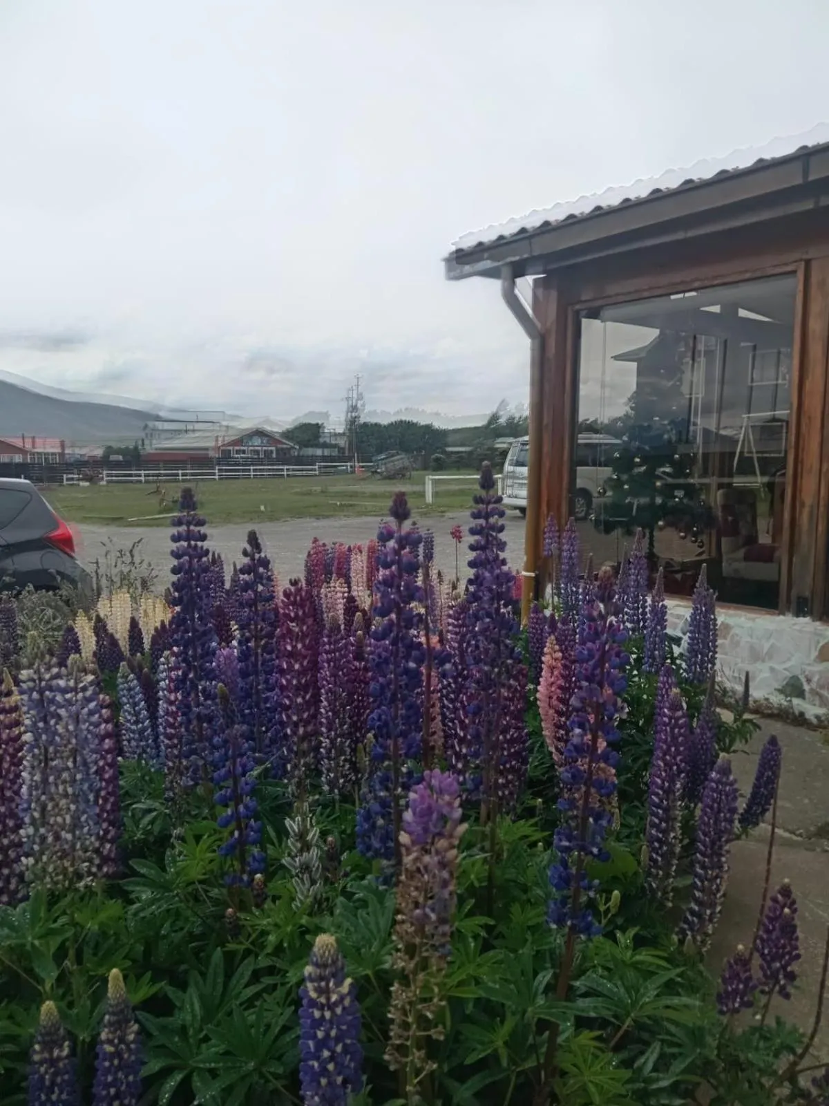 Garden in Hostal Doble E Patagonia