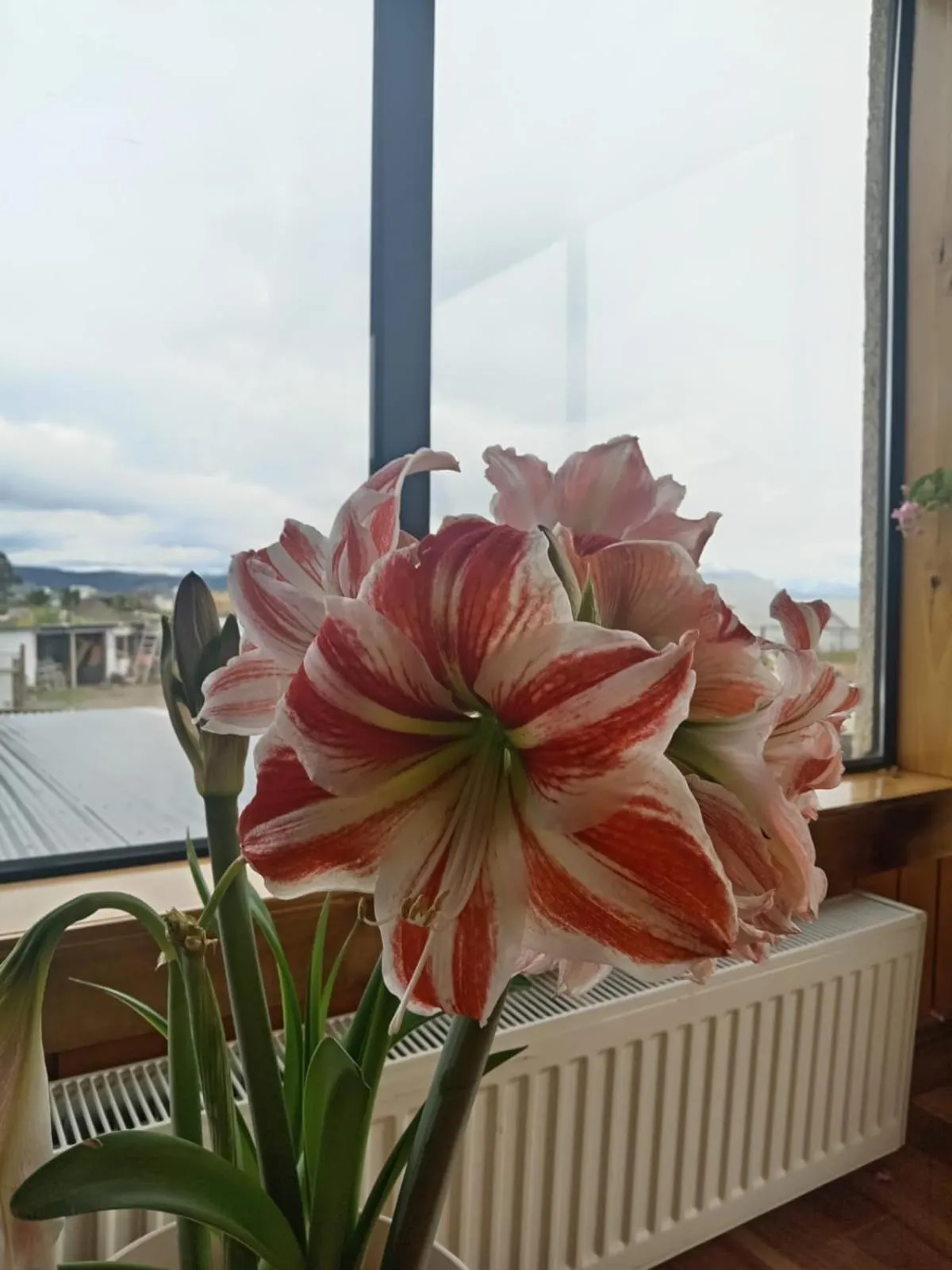 Day in Hostal Doble E Patagonia