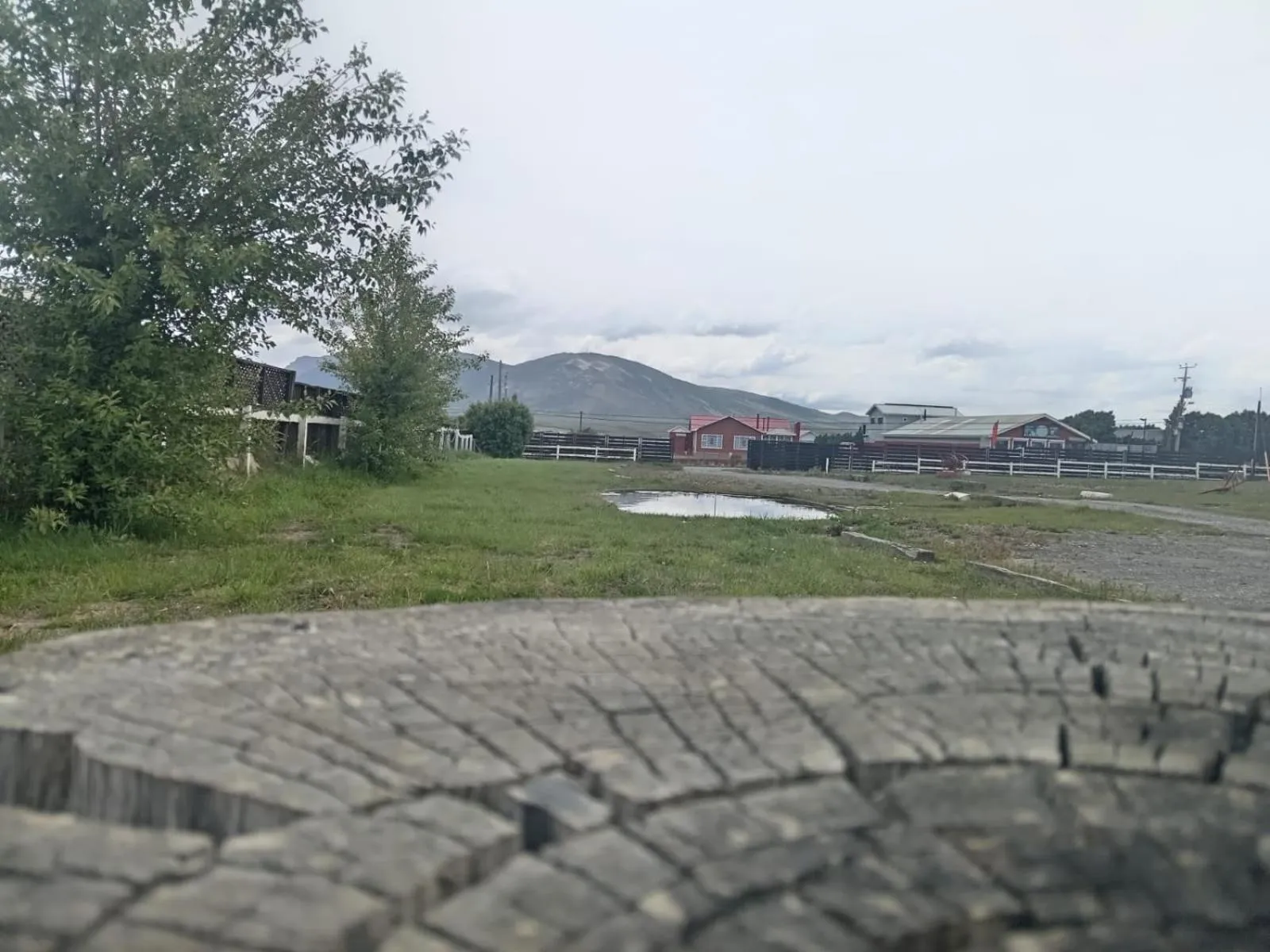 Natural landscape in Hostal Doble E Patagonia