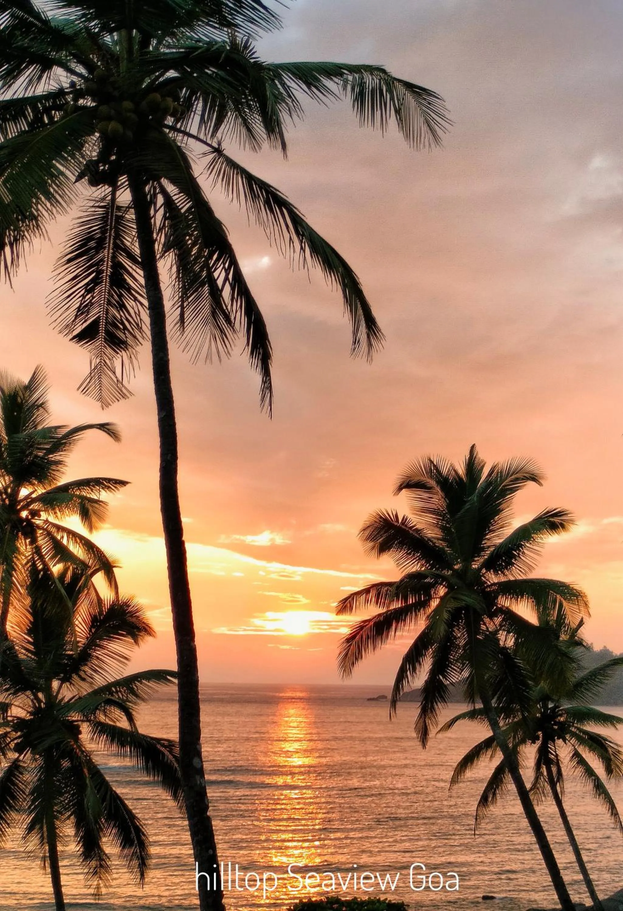 Hilltop Seaview Palolem Goa