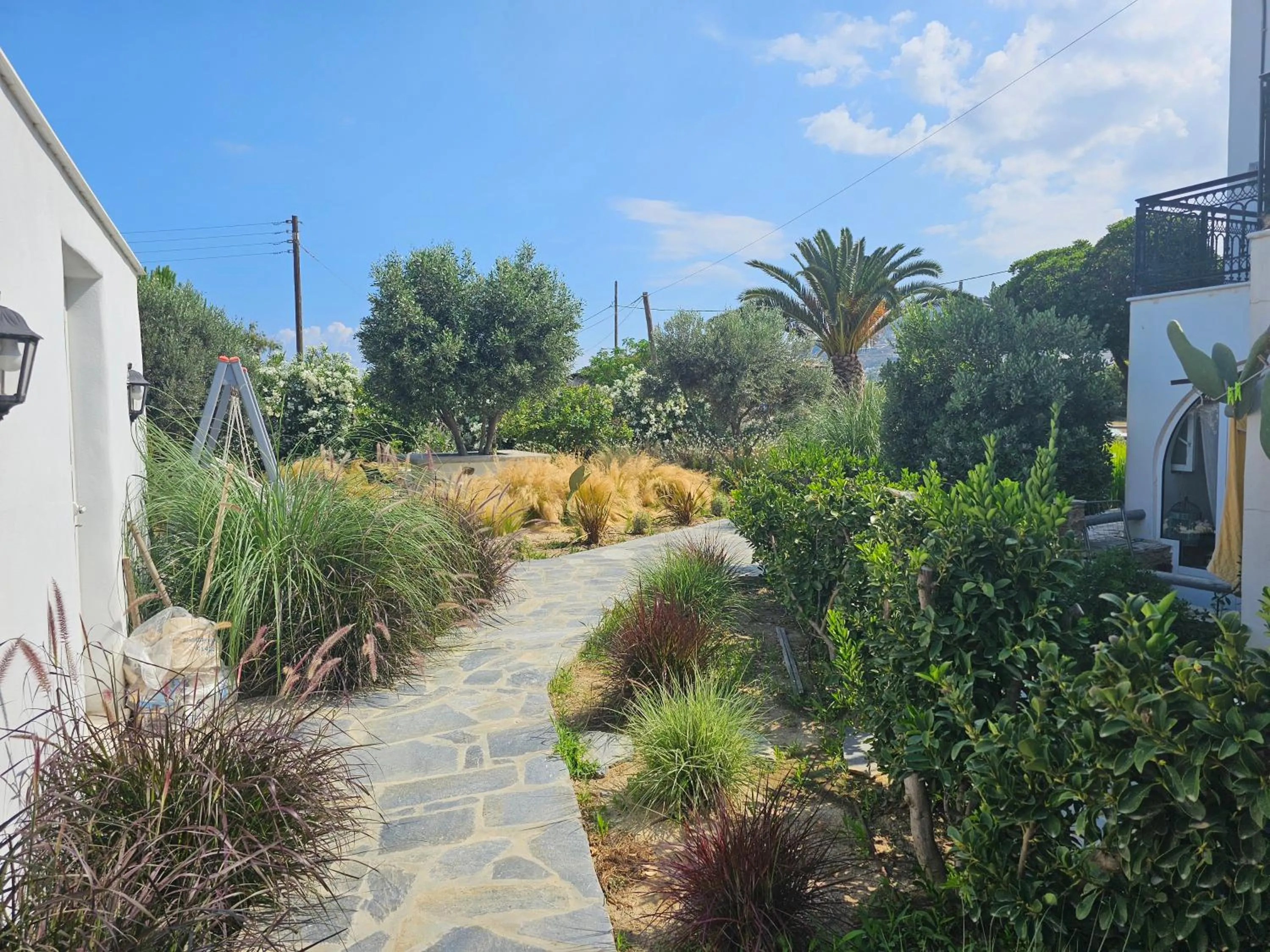 Spring in Sunlight Naxos